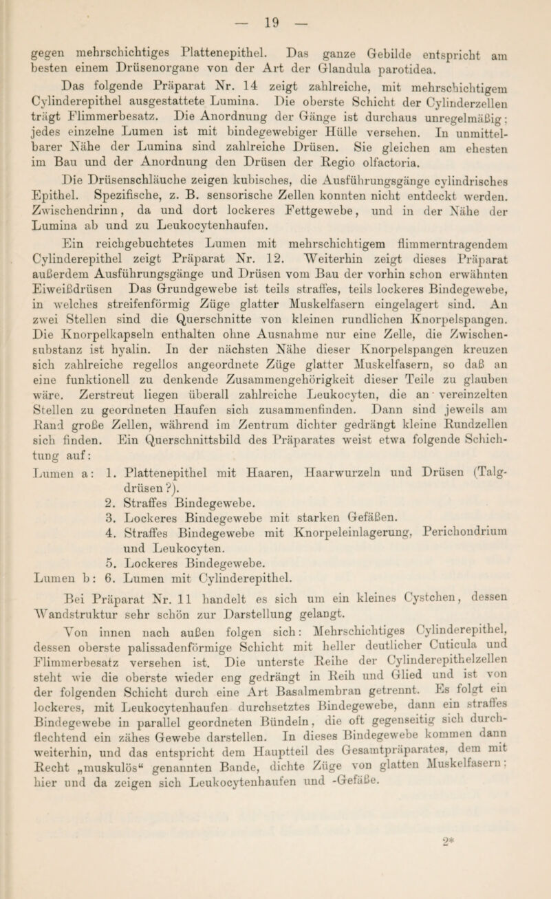 gegen mehrschichtiges Plattenepithel. Das ganze Gebilde entspricht am besten einem Drüsenorgane von der Art der Glandula parotidea. Das folgende Präparat Nr. 14 zeigt zahlreiche, mit mehrschichtigem Cylinderepithel ausgestattete Lumina. Die oberste Schicht der Cylinderzellen trägt Flimmerbesatz. Die Anordnung der Gänge ist durchaus unregelmäßig; jedes einzelne Lumen ist mit bindegewebiger Hülle versehen. In unmittel¬ barer Nähe der Lumina sind zahlreiche Drüsen. Sie gleichen am ehesten im Bau und der Anordnung den Drüsen der Regio olfactoria. Die Drüsenschläuche zeigen kubisches, die Ausführungsgänge cylindrisches Epithel. Spezifische, z. B. sensorische Zellen konnten nicht entdeckt werden. Zwischendrinn, da und dort lockeres Fettgewebe, und in der Nähe der Lumina ab und zu Leukocytenhaufen. Ein reichgebuchtetes Lumen mit mehrschichtigem fliinmerntragendem Cylinderepithel zeigt Präparat Nr. 12. Weiterhin zeigt dieses Präparat außerdem Ausführungsgänge und Drüsen vom Bau der vorhin schon erwähnten Eiweißdrüsen Das Grundgewebe ist teils straffes, teils lockeres Bindegewebe, in welches streifenförmig Züge glatter Muskelfasern eingelagert sind. An zwei Stellen sind die Querschnitte von kleinen rundlichen Knorpelspangen. Die Knorpelkapseln enthalten ohne Ausnahme nur eine Zelle, die Zwischen¬ substanz ist hyalin. In der nächsten Nähe dieser Knorpelspangen kreuzen sich zahlreiche regellos angeordnete Züge glatter Muskelfasern, so daß an eine funktionell zu denkende Zusammengehörigkeit dieser Teile zu glauben wäre. Zerstreut liegen überall zahlreiche Leukocyten, die an * vereinzelten Stellen zu geordneten Haufen sich zusamraenfinden. Dann sind jeweils am Rand große Zellen, während im Zentrum dichter gedrängt kleine Rundzellen sich finden. Ein Querscbnittsbild des Präparates weist etwa folgende Schich¬ tung auf: Lumen a: 1. Plattenepithel mit Haaren, Haarwurzeln und Drüsen (Talg¬ drüsen ?). 2. Straffes Bindegewebe. 3. Lockeres Bindegewebe mit starken Gefäßen. 4. Straffes Bindegewebe mit Knorpeleinlagerung, Perichondrium und Leukocyten. 5. Lockeres Bindegewebe. Lumen b: 6. Lumen mit Cylinderepithel. Bei Präparat Nr. 11 handelt es sich um ein kleines Cystchen, dessen Wandstruktur sehr schön zur Darstellung gelangt. Von innen nach außen folgen sich: Mehrschichtiges Cylinderepithel, dessen oberste palissadenförmige Schicht mit heller deutlicher Cuticula und Flimmerbesatz versehen ist. Die unterste Reihe der Cylinderepitkelzellen steht wie die oberste wieder eng gedrängt in Reih und Glied und ist \<m der folgenden Schicht durch eine Art Basalmembran getrennt. Es folgt ein lockeres, mit Leukocytenhaufen durchsetztes Bindegewebe, dann ein strafles Bindegewebe in parallel geordneten Bündeln, die oft gegenseitig sich dm ch- flechtend ein zähes Gewebe darstellen. In dieses Bindegewebe kommen dann weiterhin, und das entspricht dem Hauptteil des Gesamtpräparates, dem mit Recht „muskulös“ genannten Bande, dichte Züge von glatten Muskelfasein. hier lind da zeigen sich Leukocytenhaufen und -Gefäße. o*