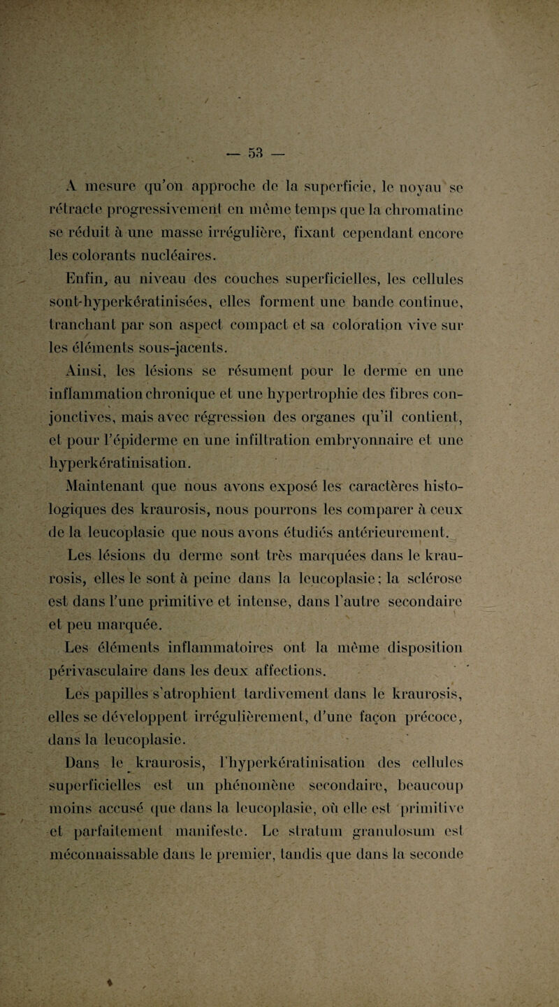 vr '■ ' — 53 A mesure qu’on approche de la superficie, le noyau se rétracte progressivement en môme temps que la chromatine se réduit à une masse irrégulière, fixant cependant encore les colorants nucléaires. Enfin, au niveau des couches superficielles, les cellules sont-hyperkératinisées, elles forment une bande continue, tranchant par son aspect compact et sa coloration A'ivc sur les éléments sous-jacents. Ainsi, les lésions se résument pour le derme en une inflammation chronique et une hypertrophie des fibres con- jonctivcs, mais avec régression des organes qu’il contient, et pour l’épiderme en une infiltration embryonnaire et une liyperkératinisation. Maintenant que nous avons exposé les caractères histo¬ logiques des kraurosis, nous pourrons les comparer à ceux de la leucoplasie que nous avons étudiés antérieurement. Les lésions du derme sont très marquées dans le krau¬ rosis, elles le sont à peine dans la leucoplasie; la sclérose est dans l’une primitive et intense, dans l’autre secondaire et peu marquée. Les éléments inflammatoires ont la meme disposition périvasculaire dans les deux affections. Les papilles s’atrophient tardivement dans le kraurosis, elles se développent irrégulièrement, d’une façon précoce, dans la leucoplasie. Dans le kraurosis, lhyperkétatinisation des cellules superficielles est un phénomène secondaire, beaucoup moins accusé que dans la leucoplasie, où elle est primitive et parfaitement manifeste. Le stratum granulosum est méconnaissable dans le premier, tandis que dans la seconde 4