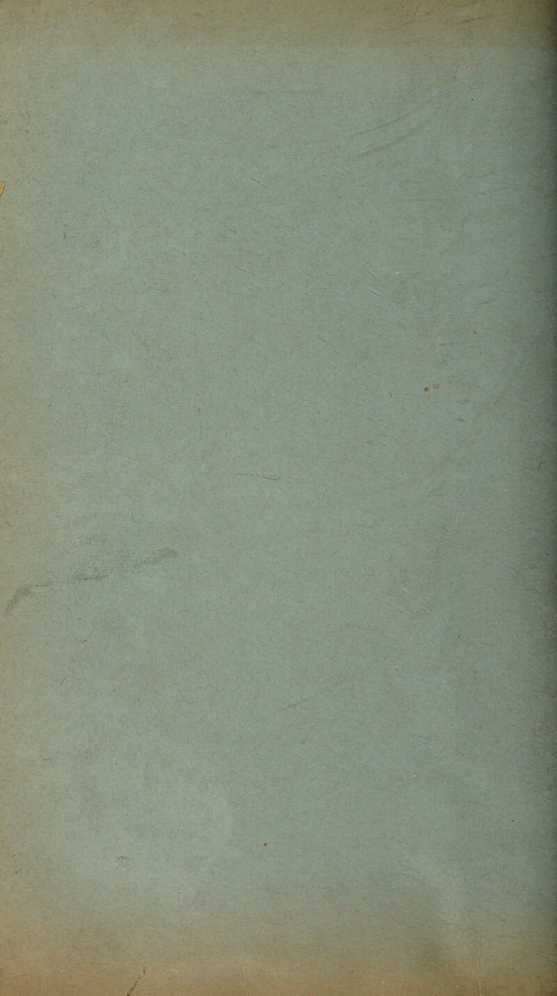 ' ,, v’ïÿï-, ;jy. .fi r •- 7 c-A