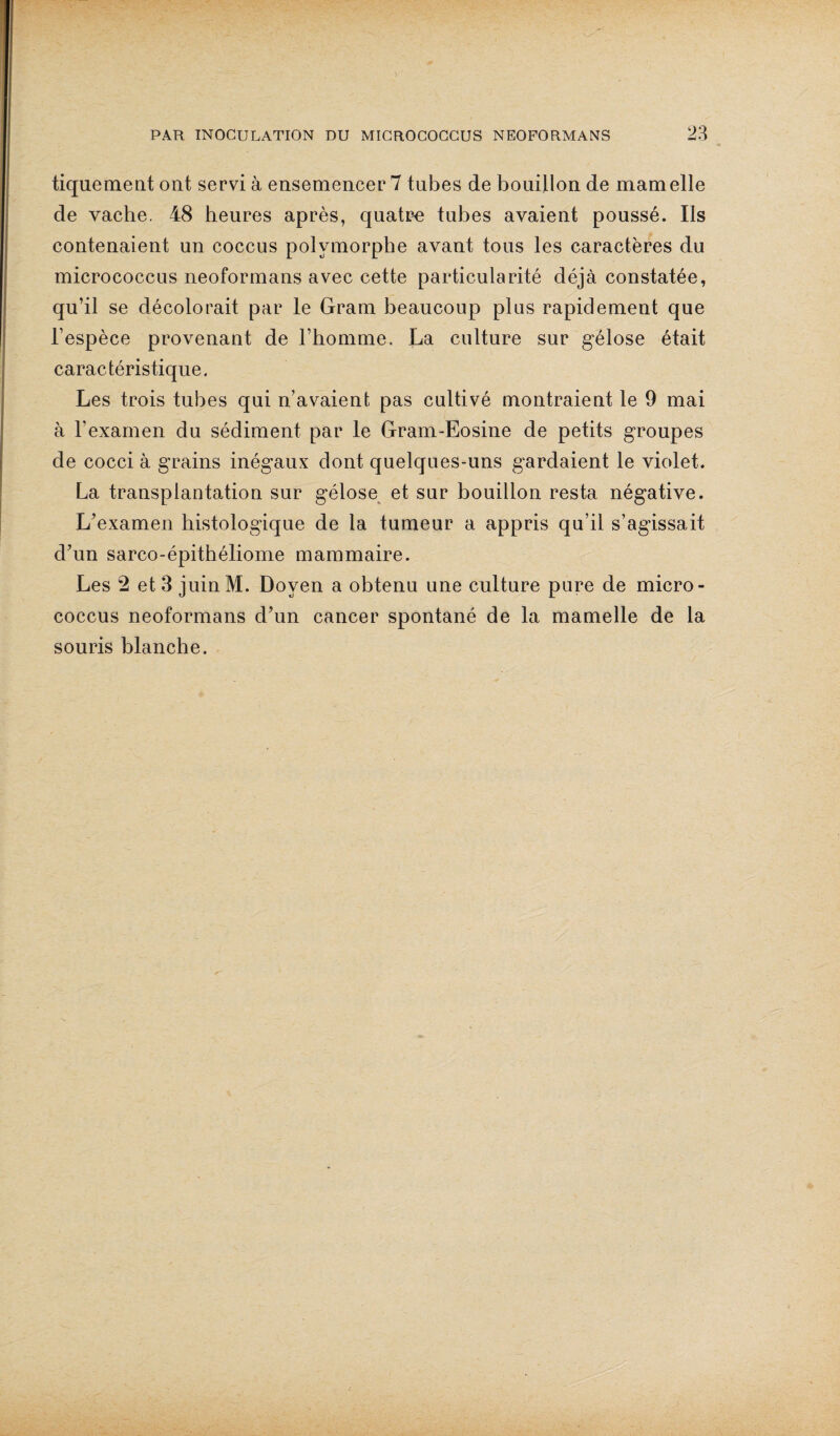 tiquement ont servi à ensemencer 7 tubes de bouillon de mamelle de vache. 48 heures après, quatre tubes avaient poussé. Ils contenaient un coccus polymorphe avant tous les caractères du micrococcus neoformans avec cette particularité déjà constatée, qu’il se décolorait par le Gram beaucoup plus rapidement que l’espèce provenant de l’homme. La culture sur gélose était caractéristique. Les trois tubes qui n’avaient pas cultivé montraient le 9 mai à l’examen du sédiment par le Gram-Eosine de petits groupes de cocci à grains inégaux dont quelques-uns gardaient le violet. La transplantation sur gélose et sur bouillon resta négative. L’examen histologique de la tumeur a appris qu’il s’agissait d’un sarco-épithéliome mammaire. Les 2 et 3 juinM. Doyen a obtenu une culture pure de micro¬ coccus neoformans d’un cancer spontané de la mamelle de la souris blanche.