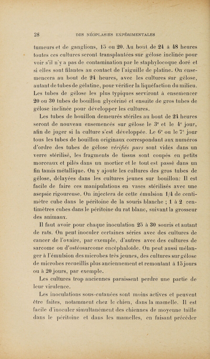 tumeurs et de ganglions, 15 ou 20. Au bout de 24 à 48 heures toutes ces cultures seront transplantées sur gélose inclinée pour voir s’il n’y a pas de contamination par le staphylocoque doré et si elles sont filantes au contact de l’aiguille de platine. On ense¬ mencera au bout de 24 heures, avec les cultures sur gélose, autant de tubes de gélatine, pour vérifier la liquéfaction du milieu. Les tubes de gélose les plus typiques serviront à ensemencer 20 ou 30 tubes de bouillon glycérine et ensuite de gros tubes de gélose inclinée pour développer les cultures. Les tubes de bouillon demeurés stériles au bout de 24 heures seront de nouveau ensemencés sur gélose le 3e et le 4e jour, afin de juger si la culture s’est développée. Le 6e ou le 7e jour tous les tubes de bouillon originaux correspondant aux numéros d’ordre des tubes de gélose vérifiés purs sont vidés dans un verre stérilisé, les fragments de tissus sont coupés en petits morceaux et pilés dans un mortier et le tout est passé dans un tin tamis métallique. On y ajoute les cultures des gros tubes de gélose, délayées dans les cultures jeunes sur bouillon: Il est facile de faire ces manipulations en vases stérilisés avec une asepsie rigoureuse. On injectera de cette émulsion 1/4 de centi¬ mètre cube dans le péritoine de la souris blanche ; 1 à 2 cen¬ timètres cubes dans le péritoine du rat blanc, suivant la grosseur des animaux. Il faut avoir pour chaque inoculation 25 à 30 souris et autant de rats. On peut inoculer certaines séries avec des cultures de cancer de l’ovaire, par exemple, d’autres avec des cultures de sarcome ou d’ostéosarcome encéphaloïde. On peut aussi mélan¬ ger à l’émulsion des microbes très jeunes, des cultures sur gélose de microbes recueillis plus anciennement et remontant à 15 jours ou à 20 jours, par exemple. Les cultures trop anciennes paraissent perdre une partie de leur virulence. Les inoculations sous-cutanées sont moins actives et peuvent être faites, notamment chez le chien, dans la mamelle. Il est facile d’inoculer simultanément des chiennes de moyenne taille dans le péritoine et dans les mamelles, en faisant précéder