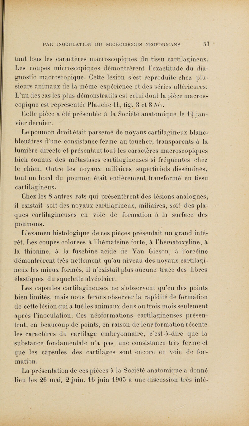 tant tous les caractères macroscopiques du tissu cartilagineux. Les coupes microscopiques démontrèrent l’exactitude du dia¬ gnostic macroscopique. Cette lésion s’est reproduite chez plu¬ sieurs animaux de la même expérience et des séries ultérieures. L’un des cas les plus démonstratits est celui dont la pièce macros¬ copique est représentée Planche II, fîg. 3 et 3 bis. Cette pièce a été présentée à la Société anatomique le 19 jan¬ vier dernier. Le poumon droit était parsemé de noyaux cartilagineux blanc- bleuâtres d’une consistance ferme au toucher, transparents à la lumière directe et présentant tout les caractères macroscopiques bien connus des métastases cartilagineuses si fréquentes chez le chien. Outre les noyaux miliaires superficiels disséminés, tout un bord du poumon était entièrement transformé en tissu cartilagineux. Chez les 8 autres rats qui présentèrent des lésions analogues, il existait soit des noyaux cartilagineux, miliaires, soit des pla¬ ques cartilagineuses en voie de formation à la surface des poumons. L’examen histologique de ces pièces présentait un grand inté¬ rêt. Les coupes colorées à l’hématéine forte, à l’hématoxyline, à la thionine, à la fuschine acide de Van Gieson, à l’orcéine démontrèrent très nettement qu’au niveau des noyaux cartilagi¬ neux les mieux formés, il n’existait plus aucune trace des fibres élastiques du squelette alvéolaire. Les capsules cartilagineuses ne s'observent qu’en des points bien limités, mais nous ferons observer la rapidité de formation de cette lésion qui a tué les animaux deux ou trois mois seulement après l'inoculation. Ces néoformations cartilagineuses présen¬ tent, en beaucoup de points, en raison de leur formation récente les caractères du cartilage embryonnaire, c’est-à-dire que la substance fondamentale n’a pas une consistance très ferme et que les capsules des cartilages sont encore en voie de for¬ mation. La présentation de ces pièces à la Société anatomique a donné lieu les 26 mai, 2 juin, 16 juin 1905 à une discussion très inté-