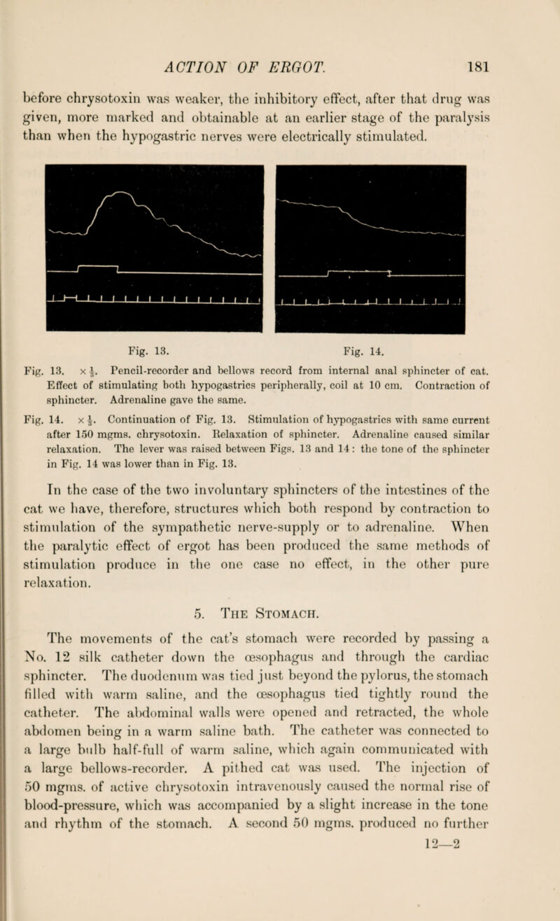 before chrysotoxin was weaker, the inhibitory effect, after that drug was given, more marked and obtainable at an earlier stage of the paralysis than when the hypogastric nerves were electrically stimulated. Fig. 13. Fig. 14. Fig. 13. x Pencil-recorder and bellows record from internal anal sphincter of cat. Effect of stimulating both hypogastrics peripherally, coil at 10 cm. Contraction of sphincter. Adrenaline gave the same. Fig. 14. x Continuation of Fig. 13. Stimulation of hypogastrics with same current after 150 mgms. chrysotoxin. Relaxation of sphincter. Adrenaline caused similar relaxation. The lever was raised between Figs. 13 and 14: the tone of the sphincter in Fig. 14 was lower than in Fig. 13. In the case of the two involuntary sphincters of the intestines of the cat we have, therefore, structures which both respond by contraction to stimulation of the sympathetic nerve-supply or to adrenaline. When the paralytic effect of ergot has been produced the same methods of stimulation produce in the one case no effect, in the other pure relaxation. 5. The Stomach. The movements of the cat’s stomach were recorded by passing a No. 12 silk catheter down the oesophagus and through the cardiac sphincter. The duodenum was tied just beyond the pylorus, the stomach filled with warm saline, and the oesophagus tied tightly round the catheter. The abdominal walls were opened and retracted, the whole abdomen being in a warm saline bath. The catheter was connected to a large bulb half-full of warm saline, which again communicated with a large bellows-recorder. A pithed cat was used. The injection of 50 mgms. of active chrysotoxin intravenously caused the normal rise of blood-pressure, which was accompanied by a slight increase in the tone and rhythm of the stomach. A second 50 mgms. produced no further 1 9_o 1 -LA