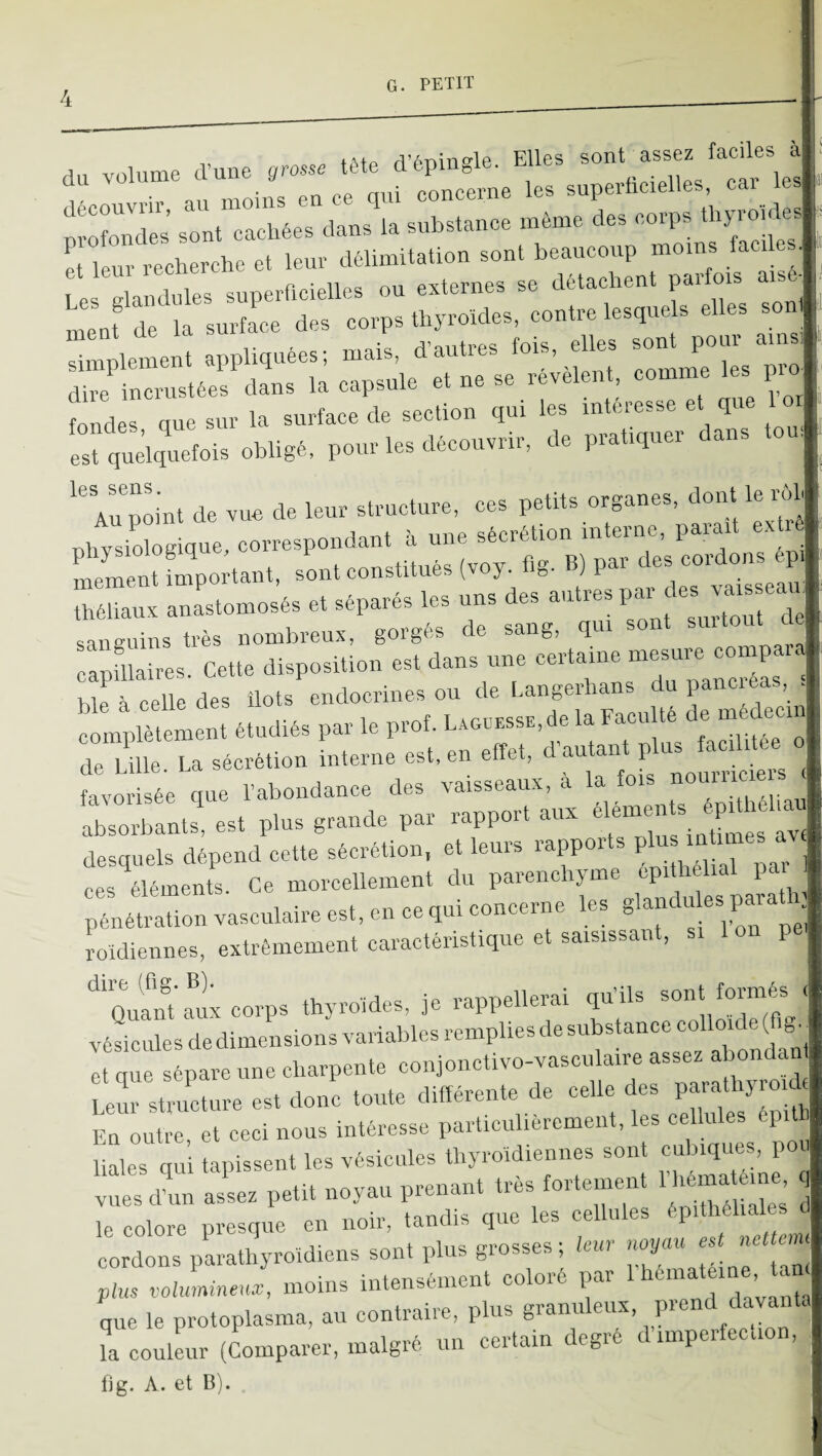 oo. tA+P fl’pDinele. Elles sont assez faciles à du volume d’une grosse tête depin^ie. par les . • no md poncerne les superncielles, cai les ÎÎXnTes sontTachées dans la substance même des -n- tbyro^ rieur recherche et leur délimitation sont beaucoup moms facile J Les glandules superficielles ou externes se détachent parfois ais menf de la surfL,e des corps thyroïdes, contre lesquels elles son simplement appliquées; mais, d’autres conurirprol dire incrustées dans la capsule et ne se revelent, comme les p i fondes que sur la surface de section qui les intéresse et que 1 or| est quelquefois obligé, pour les découvrir, de ,iratiquer dans ou, '“au point de vue de leur structure, ces ohvsirgique, correspondant à une sécrétion interne, paiait exUê Îement fomortant, sont constitués (voy, flg. B) par des cordons ep ZtomoJés et séparés les uns des autres P- - sansuins très nombreux, gorgés de sang, qui so capillaires. Cette disposition est dans une 1 hle à celle des îlots endocrines ou de Langerhans du panoieas, . Ïmnpîètement étudiés par le prof. LxorHssii,de la Facii té de m decin de Lille. La sécrétion interne est, en effet, ,| favorisée que l’abondance des vaisseaux, a la fois nom'iye irrants! est plus grande par rapport aux « desquels dépend cette sécrétion, et leurs rapports Pl* ces éléments Ce morcellement du parenchyme épithélial pa ( pénétration vasculaire est, en ce qui concerne les ,P^ ^ roidiennes, extrêmement caractéristique et saisissant, P ‘'quÏri; corps thyroïdes, je rappellerai qu’ils sont formés vélules dedimensions variables remplies de substance co'loide ^ et que sépare une charpente conjonctivo-vasculaire assez al ondan Ler sfoucUire est donc toute différente de celle des parathyroich En outre, et ceci nous intéresse particulièrement, les cellules epit liales qui tapissent les vésicules thyroïdiennes sont cubiques, poi “ .i...0,... ‘ ïs; ’ 1p rolore Dresaiie en noir, tanüis que les cüiiuio i cordons parathyroîdiens sont plus grosses ; leur noyau est nette,m plus valu,ruineuse, moins intensément coloré par ''“mateine tan que le protoplasma, au contraire, plus granuleux, prend davanta l coulLr (Comparer, malgré un certain degré d’imperfection, f]g. A. et B).