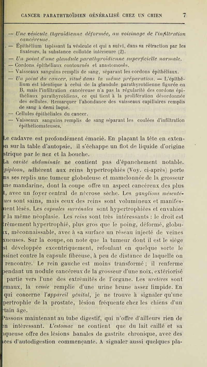 I: [ — Une vésicule thyroïdienne déformée, au voisinage de l’infiltration cancéreuse. . — Epithélium tapissant la vésicule et qui a suivi, dans sa rétraction par les fixateurs, la substance colloïde intérieure (2). — Un point d’une glandule parathyroidienne superficielle normale. — Cordons épithéliaux contournés et anastomosés. — Vaisseaux sanguins remplis de sang, séparant les cordons épithéliaux. — Un point du cancer, situé dans la même 'préparation. — L’épithé¬ lium est identique à celui de la glandule parathyroïdienne figurée en B, mais l’infiltration cancéreuse n’a pas la régularité des cordons épi¬ théliaux parathyroïdiens, ce qui tient à la prolifération désordonnée des cellules. Remarquer l’abondance des vaisseaux capillaires remplis de sang à demi laqué. — Cellules épithéliales du cancer. — Vaisseaux sanguins remplis de sang séparant les coulées d’infiltration épithéliomateuses. ïjLe cadavre est profondément émacié. En plaçant la tête en exten- jin sur la table d’autopsie, il s’échappe un flot de liquide d’origine btrique par le nez et la bouche. La cavité abdominale ne contient pas d’épanchement notable. piploon, adhérent aux reins hypertrophiés (Voy. ci-après) porte ius ses replis une tumeur globuleuse et mamelonnée de la grosseur fine mandarine, dont la coupe offre un aspect cancéreux des plus jt, avec un foyer central de nécrose sèche. Les ganglions mésenté- ^ues sont sains, mais ceux des reins sont volumineux ef manifes- iient lésés. Les capsules surrénales sont hypertrophiées et envahies ■r la même néoplasie. Les reins sont très intéressants : le droit est ■ rêmement hypertrophié, plus gros que le poing, déformé, globu- IX, méconnaissable, avec à sa surface un réseau injecté de veines xueuses. Sur la coupe, on note que la tumeur dont il est le siège st développée excentriquement, refoulant en quelque sorte le ssinet contre la capsule fibreuse, à peu de distance de laquelle on rencontre. Le rein gauche est moins transformé ; il renferme pendant un nodule cancéreux de la grosseur d'une noix, extériorisé partie vers l’une des extrémités de l’organe. Les uretères sont rmaux, la vessie remplie d'une urine brune assez limpide. En qui concerne Vappareil génital, je ne trouve à signaler qu’une pertrophie de la prostate, lésion fréquente chez les chiens d’un dain âge. assons maintenant au tube digestif, qui n’offre d’ailleurs rien de 3n intéressant. L’estomac ne contient que du lait caillé et sa iqneuse offre des lésions banales de gastrite chronique, avec des ices d’autodigestion commençante. A signaler aussi quelques pla-