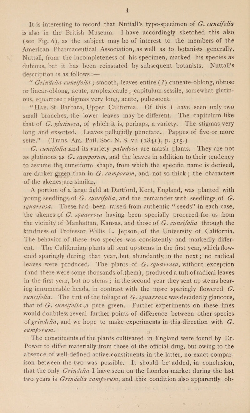 It is interesting to record that NuttalPs type-specimen of G. cuneifolia is also in the British Museum. I have accordingly sketched this also (see Fig. 6), as the subject may be of interest to the members of the American Pharmaceutical Association, as well as to botanists generally. Nuttall, from the incompleteness of his specimen, marked his species as dubious, but it has been reinstated by subsequent botanists. NuttalPs description is as follows :— “ Grindelia cuneifolia ; smooth, leaves entire ( ?) cuneate-oblong, obtuse or linear-oblong, acute, amplexicaule; capitulum sessile, somewhat glutin¬ ous, squ^rrose ; stigmas very long, acute, pubescent. “ Hab. St. Barbara, Upper California. Of this I nave seen only two small branches, the lower leaves may be different. The capitulum like that of G. glutinosa, of which it is, perhaps, a variety. The stigmas very long and exserted. Leaves pellucidjy punctate. Pappus of five or more setae.” (Trans. Am, Phil. Soc. N. S. vii (1-844}> P- 3Z5-) G. cuneifolia and its variety paludosa are marsh plants. They are not as glutinous as G. camporum, and the leaves in addition to their tendency to assume the, cuneiform shape, from which the specific name is derived, are darker green than in G. camporum, and not so thick ; the characters of the akenes are similar* A portion of a large field at Dartford, Kent, England, was planted with young seedlings, of G. cuneifolia, and the remainder with seedlings of G. squarrosa. These had been raised from authentic “ seeds” in each case, the akenes of G. squarrosa having been specially procured for us from the vicinity of Manhattan, Kansas, and those of G. cuneifolia through the kindness of Professor Willis L. Jepson, of the University of California. The behavior of these two species was consistently and markedly differ¬ ent. The Californian plants all sent up stems in the first year, which flow¬ ered sparingly during that year, but abundantly in the next; no radical leaves were produced. The plants of G. squarrosa, without exception (and there were some thousands of .them), produced a tuft of radical leaves in the first year, but no stems ; in the second year they sent up stems bear¬ ing innumerable heads, in contrast with the more sparingly flowered G. cuneifolia. The tint of the foliage of G. squarrosa was decidedly glaucous, that of G. cuneifolia va pure green. Further experiments on these lines would doubtless reveal further points of difference between other species of grindelia, and we hope to make experiments in this direction with G. camporum. ? The constituents of the plants cultivated in England were found by Dr. Power to differ materially from those of the official drug, but owing to the absence of well-defined active constituents in the latter, no exact compar¬ ison between the two was possible. It should be' added, in conclusion, that the only Grindelia I have seen on the London market during the last two years is Grindelia camporum, and this condition also apparently ob-
