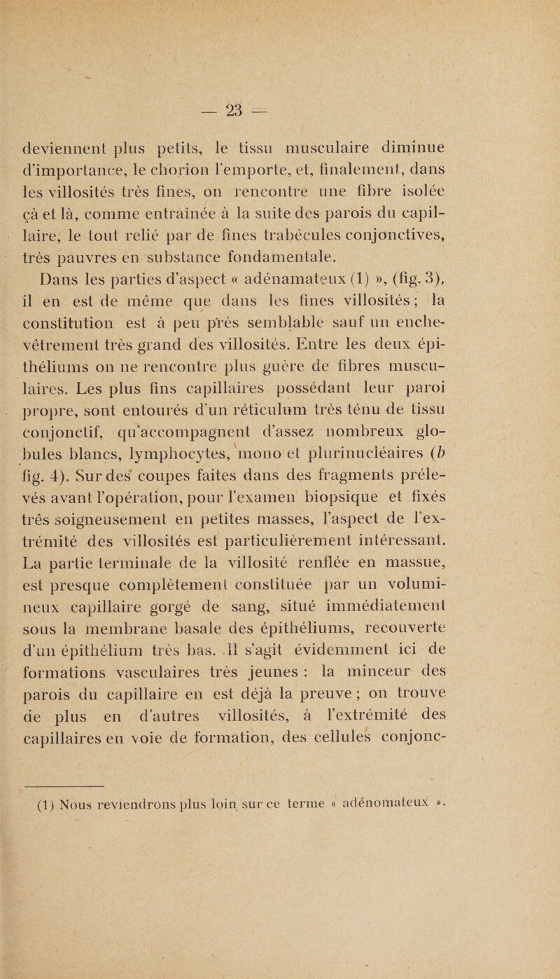 deviennent plus petits, le tissu musculaire diminue d’importance, le chorion l’emporte, et, finalement, dans les villosités très fines, on rencontre une fibre isolée çà et là, comme entraînée à la suite des parois du capil¬ laire, le tout relié par de fines trabécules conjonctives, très pauvres en substance fondamentale. Dans les parties d’aspect « adénamateux (1) », (fig. 3), il en est de même que dans les fines villosités ; la constitution est à peu près semblable sauf un enche¬ vêtrement très grand des villosités. Entre les deux épi¬ théliums on ne rencontre plus guère de fibres muscu¬ laires. Les plus fins capillaires possédant leur paroi propre, sont entourés d’un réticulum très ténu de tissu conjonctif, qu’accompagnent d’assez nombreux glo¬ bules blancs, lymphocytes, mono et plurinucléaires (b fig. 4). Sur des coupes faites dans des fragments préle¬ vés avant l’opération, pour l’examen biopsique et fixés très soigneusement en petites masses, l’aspect de l’ex¬ trémité des villosités est particulièrement intéressant. La partie terminale de la villosité renflée en massue, est presque complètement constituée par un volumi¬ neux capillaire gorgé de sang, situé immédiatement sous la membrane basale des épithéliums, recouverte d’un épithélium très bas. Il s’agit évidemment ici de formations vasculaires très jeunes : la minceur des parois du capillaire en est déjà la preuve ; on trouve de plus en dautres villosités, à l’extrémité des capillaires en voie de formation, des cellules conjonc- (1) Nous reviendrons plus loin sur ce terme « adénomateux ».