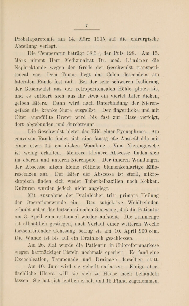 Probelaparotomie am 14. März 1905 auf clie chirurgische Abteilung verlegt. Die Temperatur beträgt 38,5°, der Puls 128. Am 15. März nimmt Herr Medizinalrat Dr. med. Lindner die Nephrektomie wegen der Größe der Geschwulst transperi¬ toneal vor. Dem Tumor liegt das Colon descendens am lateralen Rande fest auf. Bei der sehr schweren Isolierung der Geschwulst aus der retroperitonealen Höhle platzt sie, und es entleert sich aus ihr etwa ein viertel Liter dicken, gelben Eiters. Dann wird nach Unterbindung der Nieren¬ gefäße die kranke Niere ausgelöst. Der fingerdicke und mit Eiter angefüllte Ureter wird bis fast zur Blase verfolgt, dort abgebunden und durchtrennt. Die Geschwulst bietet das Bild einer Pyonephrose. Am convexen Rande findet sich eine faustgroße Absceßhöhle mit einer etwa 0,5 cm dicken Wandung. Vom Nierengewebe ist wenig erhalten. Mehrere kleinere Abscesse finden sich im oberen und unteren Nierenpole. Der inneren Wandungen der Abscesse sitzen kleine rötliche blumenkohlartige Efflo- rescenzen auf. Der Eiter der Abscesse ist steril, mikro¬ skopisch finden sich weder Tuberkelbazillen noch Kokken. Kulturen wurden jedoch nicht angelegt. Mit Ausnahme der Drainlöcher tritt primäre Heilung der Operationswunde ein. Das subjektive Wohlbefinden erlaubt neben der fortschreitenden Genesung, daß die Patientin am 3. April zum erstenmal wieder aufsteht. Die Urinmenge ist allmählich gestiegen, nach Verlauf einer weiteren Woche fortschreitender Genesung betrug sie am 10. April 900 ccm. Die Wunde ist bis auf ein Drainloch geschlossen. Am 26. Mai wurde die Patientin in Chloroformnarkose wegen hartnäckiger Fisteln nochmals operiert. Es fand eine Excochleation, Tamponade und Drainage derselben statt. Am 10. Juni wird sie geheilt entlassen. Einige ober¬ flächliche Ulcera will sie sicli zu Hause noch behandeln lassen. Sie hat sich leidlich erholt und 15 Pfund zugenommen.