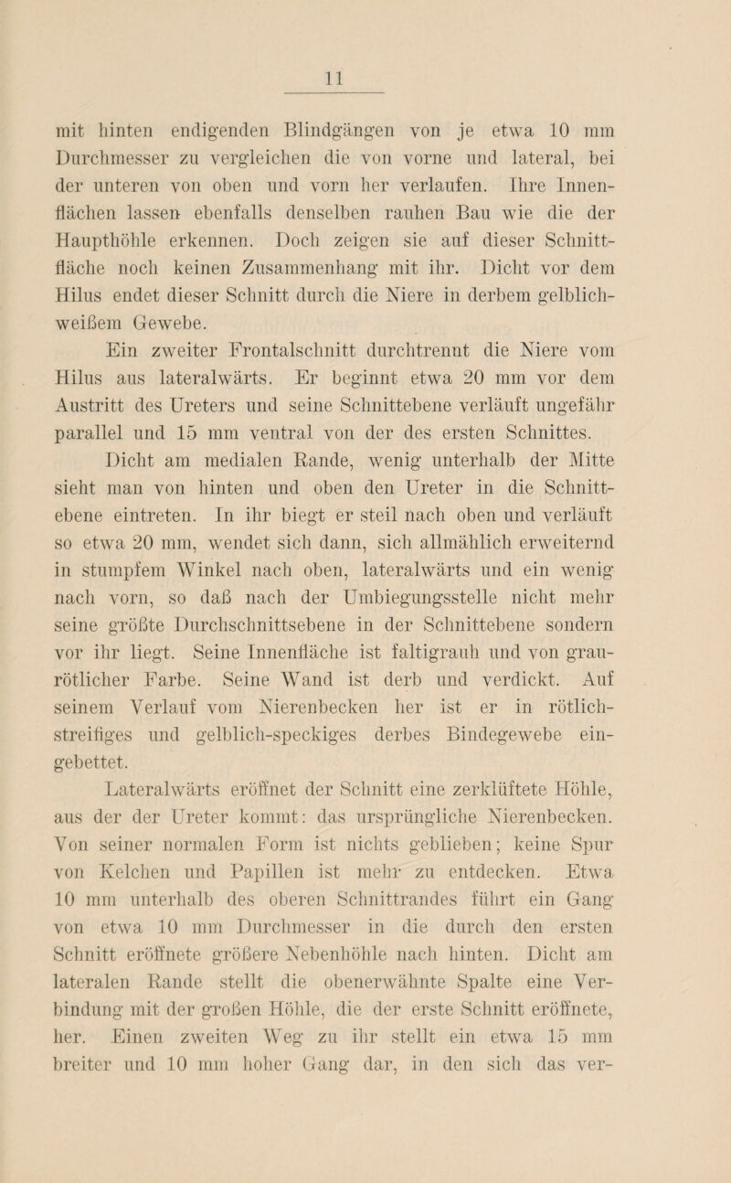 mit hinten endigenden Blindgängen von je etwa 10 mm Durchmesser zu vergleichen die von vorne und lateral, bei der unteren von oben und vorn her verlaufen. Ihre Innen¬ flächen lassen ebenfalls denselben rauhen Bau wie die der Haupthöhle erkennen. Doch zeigen sie auf dieser Schnitt¬ fläche noch keinen Zusammenhang mit ihr. Dicht vor dem Hilus endet dieser Schnitt durch die Niere in derbem gelblich¬ weißem Gewebe. Ein zweiter Frontalschnitt durchtrennt die Niere vom Hilus aus lateralwärts. Er beginnt etwa 20 mm vor dem Austritt des Ureters und seine Schnittebene verläuft ungefähr parallel und 15 mm ventral von der des ersten Schnittes. Dicht am medialen Rande, wrenig unterhalb der Mitte sieht man von hinten und oben den Ureter in die Schnitt¬ ebene eintreten. In ihr biegt er steil nach oben und verläuft so etwa 20 mm, wendet sich dann, sich allmählich erweiternd in stumpfem Winkel nach oben, lateralwärts und ein wenig nach vorn, so daß nach der Umbiegungsstelle nicht mehr seine größte Durchschnittsebene in der Schnittebene sondern vor ihr liegt. Seine Innenfläche ist faltigrauh und von grau¬ rötlicher Farbe. Seine Wand ist derb und verdickt. Auf seinem Verlauf vom Nierenbecken her ist er in rötlich¬ streifiges und gelblich-speckiges derbes Bindegewebe ein¬ gebettet. Lateralwärts eröffnet der Schnitt eine zerklüftete Höhle, aus der der Ureter kommt: das ursprüngliche Nierenbecken. Von seiner normalen Form ist nichts geblieben; keine Spur von Kelchen und Papillen ist mehr zu entdecken. Etwa 10 mm unterhalb des oberen Schnittrandes führt ein Gang von etwa 10 mm Durchmesser in die durch den ersten Schnitt eröffnete größere Nebenhöhle nach hinten. Dicht am lateralen Rande stellt die obenerwähnte Spalte eine Ver¬ bindung mit der großen Höhle, die der erste Schnitt eröffnete, her. Einen zweiten Weg zu ihr stellt ein etwa 15 mm breiter und 10 mm hoher Gang dar, in den sicli das ver-