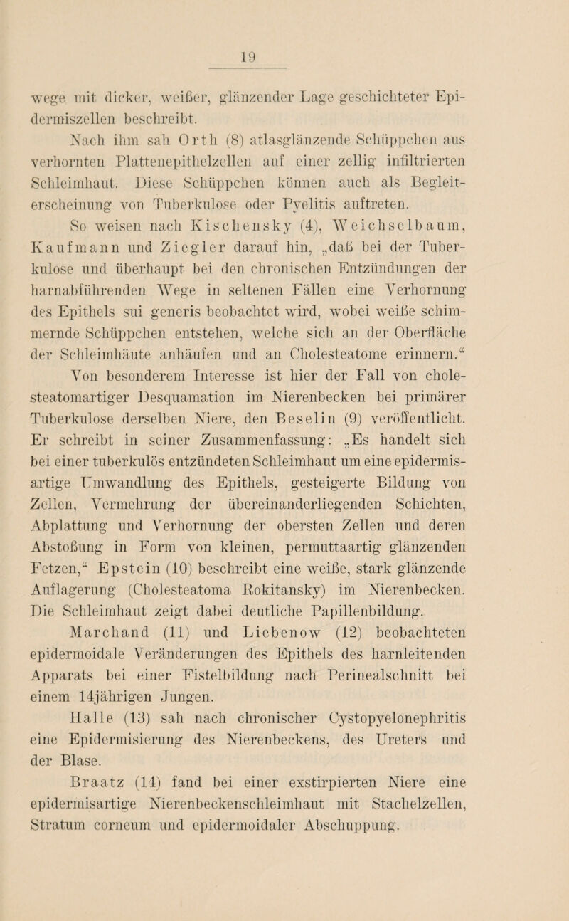 wege mit dicker, weißer, glänzender Lage geschichteter Epi- dermiszellen beschreibt. Nach ihm sah Orth (8) atlasglänzende Schüppchen aus verhornten Plattenepithelzellen auf einer zeitig infiltrierten Schleimhaut. Diese Schüppchen können auch als Begleit¬ erscheinung von Tuberkulose oder Pyelitis auftreten. So weisen nach Kischensky (4), Weichselbaum, Kaufmann und Ziegler darauf hin, „daß bei der Tuber¬ kulose und überhaupt bei den chronischen Entzündungen der harnabführenden Wege in seltenen Fällen eine Verhornung des Epithels sui generis beobachtet wird, wobei weiße schim¬ mernde Schüppchen entstehen, welche sich an der Oberfläche der Schleimhäute anhäufen und an Cholesteatome erinnern.“ Von besonderem Interesse ist hier der Fall von chole¬ steatomartiger Desquamation im Nierenbecken bei primärer Tuberkulose derselben Niere, den Beselin (9) veröffentlicht. Er schreibt in seiner Zusammenfassung: „Es handelt sich bei einer tuberkulös entzündeten Schleimhaut um eine epidermis- artige Umwandlung des Epithels, gesteigerte Bildung von Zellen, Vermehrung der übereinanderliegenden Schichten, Abplattung und Verhornung der obersten Zellen und deren Abstoßung in Form von kleinen, permuttaartig glänzenden Fetzen,“ Epstein (10) beschreibt eine weiße, stark glänzende Auflagerung (Cholesteatoma Rokitansky) im Nierenbecken. Die Schleimhaut zeigt dabei deutliche Papillenbildung. Marchand (11) und Liebenow (12) beobachteten epidermoidale Veränderungen des Epithels des harnleitenden Apparats bei einer Fistelbildung nach Perinealschnitt bei einem 14jährigen Jungen. Halle (13) sah nach chronischer Cystopyelonephritis eine Epidermisierung des Nierenbeckens, des Ureters und der Blase. Braatz (14) fand bei einer exstirpierten Niere eine epidermisartige Nierenbeckenschleimhaut mit Stachelzellen, Stratum corneum und epidermoidaler Abschuppung.
