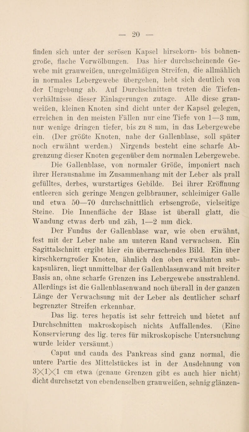 finden sich unter der serösen Kapsel hirsekorn- bis bohnen¬ große, flache Vorwölbungen. Das hier durchscheinende Ge¬ webe mit grauweißen, unregelmäßigen Streifen, die allmählich in normales Lebergewebe übergehen, hebt sich deutlich von der Umgebung ab. Auf Durchschnitten treten die Tiefen¬ verhältnisse dieser Einlagerungen zutage. Alle diese grau¬ weißen, kleinen Knoten sind dicht unter der Kapsel gelegen, erreichen in den meisten Fällen nur eine Tiefe von 1—3 mm, nur wenige dringen tiefer, bis zu 8 mm, in das Lebergewebe ein. (Der größte Knoten, nahe der Gallenblase, soll später noch erwähnt werden.) Nirgends besteht eine scharfe Ab¬ grenzung dieser Knoten gegenüber dem normalen Lebergewebe. Die Gallenblase, von normaler Größe, imponiert nach ihrer Herausnahme im Zusammenhang mit der Leber als prall gefülltes, derbes, wurstartiges Gebilde. Bei ihrer Eröffnung entleeren sich geringe Mengen gelbbrauner, schleimiger Galle und etwa 50—70 durchschnittlich erbsengroße, vielseitige Steine. Die Innenfläche der Blase ist überall glatt, die Wandung etwas derb und zäh, 1—2 mm dick. Der Fundus der Gallenblase war, wie oben erwähnt, fest mit der Leber nahe am unteren Rand verwachsen. Ein Sagittalschnitt ergibt hier ein überraschendes Bild. Ein über kirschkerngroßer Knoten, ähnlich den oben erwähnten sub- kapsulären, liegt unmittelbar der Gallenblasenwand mit breiter Basis an, ohne scharfe Grenzen ins Lebergewebe ausstrahlend. Allerdings ist die Gallenblasenwand noch überall in der ganzen Länge der Verwachsung mit der Leber als deutlicher scharf begrenzter Streifen erkennbar. Das lig. teres hepatis ist sehr fettreich und bietet auf Durchschnitten makroskopisch nichts Auffallendes. (Eine Konservierung des lig. teres für mikroskopische Untersuchung wurde leider versäumt.) Caput und cauda des Pankreas sind ganz normal, die untere Partie des Mittelstückes ist in der Ausdehnung von 3X1X1 cm etwa (genaue Grenzen gibt es auch hier nicht) dicht durchsetzt von ebendenselben grauweißen, sehnig glänzen-