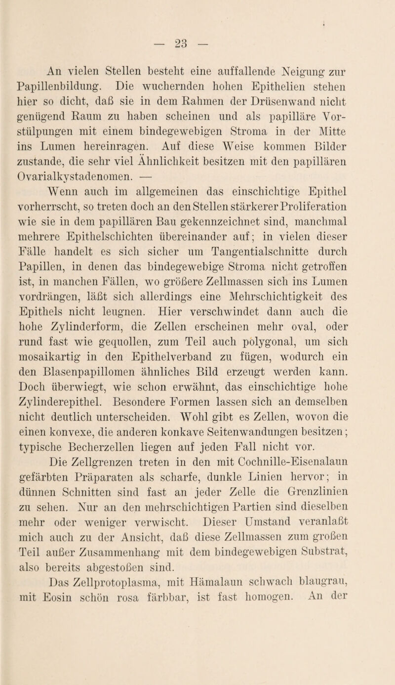 An vielen Stellen bestellt eine auffallende Neigung’ zur Papillenbildung’. Die wuchernden hohen Epithelien stehen hier so dicht, daß sie in dem Rahmen der Drüsenwand nicht genügend Raum zu haben scheinen und als papilläre Vor¬ stülpungen mit einem bindegewebigen Stroma in der Mitte ins Lumen hereinragen. Auf diese Weise kommen Bilder zustande, die sehr viel Ähnlichkeit besitzen mit den papillären Ovarialky stadenomen. — Wenn auch im allgemeinen das einschichtige Epithel vorherrscht, so treten doch an den Stellen stärkerer Proliferation wie sie in dem papillären Bau gekennzeichnet sind, manchmal mehrere Epithelschichten übereinander auf; in vielen dieser Fälle handelt es sich sicher um Tangentialschnitte durch Papillen, in denen das bindegewebige Stroma nicht getroffen ist, in manchen Fällen, wo größere Zellmassen sich ins Lumen vordrängen, läßt sich allerdings eine Mehrschichtigkeit des Epithels nicht leugnen. Hier verschwindet dann auch die hohe Zylinderform, die Zellen erscheinen mehr oval, oder rund fast wie gequollen, zum Teil auch polygonal, um sich mosaikartig in den Epithelverband zu fügen, wodurch ein den Blasenpapillomen ähnliches Bild erzeugt werden kann. Doch überwiegt, wie schon erwähnt, das einschichtige hohe Zylinderepithel. Besondere Formen lassen sich an demselben nicht deutlich unterscheiden. Wohl gibt es Zellen, wovon die einen konvexe, die anderen konkave Seitenwandungen besitzen; typische Becherzellen liegen auf jeden Fall nicht vor. Die Zellgrenzen treten in den mit Cochnille-Eisenalaun gefärbten Präparaten als scharfe, dunkle Linien hervor; in dünnen Schnitten sind fast an jeder Zelle die Grenzlinien zu sehen. Nur an den mehrschichtigen Partien sind dieselben mehr oder weniger verwischt. Dieser Umstand veranlaßt mich auch zu der Ansicht, daß diese Zellmassen zum großen Teil außer Zusammenhang mit dem bindegewebigen Substrat, also bereits abgestoßen sind. Das Zellprotoplasma, mit Hämalaun schwach blaugrau, mit Eosin schön rosa färbbar, ist fast homogen. An der