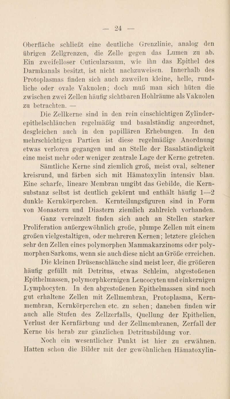 Oberfläche schließt eine deutliche Grenzlinie, analog den übrigen Zellgrenzen, die Zelle gegen das Lumen zu ab. Ein zweifelloser Cuticularsaum, wie ihn das Epithel des Darmkanals besitzt, ist nicht nachzuweisen. Innerhalb des Protoplasmas finden sich auch zuweilen kleine, helle, rund¬ liche oder ovale Vakuolen; doch muß man sich hüten die zwischen zwei Zellen häufig sichtbaren Hohlräume als Vakuolen zu betrachten. — Die Zellkerne sind in den rein einschichtigen Zylinder¬ epithelschläuchen regelmäßig und basalständig angeordnet, desgleichen auch in den papillären Erhebungen. In den mehrschichtigen Partien ist diese regelmäßige Anordnung etwas verloren gegangen und an Stelle der Basalständigkeit eine meist mehr oder weniger zentrale Lage der Kerne getreten. Sämtliche Kerne sind ziemlich groß, meist oval, seltener kreisrund, und färben sich mit Hämatoxylin intensiv blau. Eine scharfe, lineare Membran umgibt das Gebilde, die Kern¬ substanz selbst ist deutlich gekörnt und enthält häufig 1—2 dunkle Kernkörperchen. Kernteilungsfiguren sind in Form von Monastern und Diastern ziemlich zahlreich vorhanden. Ganz vereinzelt finden sich auch an Stellen starker Proliferation außergewöhnlich große, plumpe Zellen mit einem großen vielgestaltigen, oder mehreren Kernen; letztere gleichen sehr den Zellen eines polymorphen Mammakarzinoms oder poly¬ morphen Sarkoms, wenn sie auch diese nicht an Größe erreichen. Die kleinen Drüsenschläuche sind meist leer, die größeren häufig gefüllt mit Detritus, etwas Schleim, abgestoßenen Epithelmassen, polymorphkernigen Leucocyten und einkernigen Lymphocyten. In den abgestoßenen Epithelmassen sind noch gut erhaltene Zellen mit Zellmembran, Protoplasma, Kern¬ membran, Kernkörperchen etc. zu sehen; daneben finden wir auch alle Stufen des Zellzerfalls, Quellung der Epithelien, Verlust der Kernfärbung und der Zellmembranen, Zerfall der Kerne bis herab zur gänzlichen Detritusbildung vor. Noch ein wesentlicher Punkt ist hier zu erwähnen. Hatten schon die Bilder mit der gewöhnlichen Hämatoxylin-