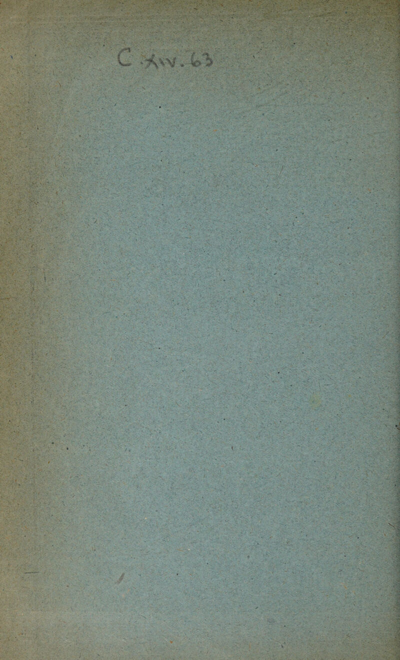 . :v, 7 , S ». . . ’i ■ . r- -P P- •\ \ • ^ 'V|“ J' H ■ 'fe^SS-'t 'i - --i ■ ■> ■ >& ■S ->â