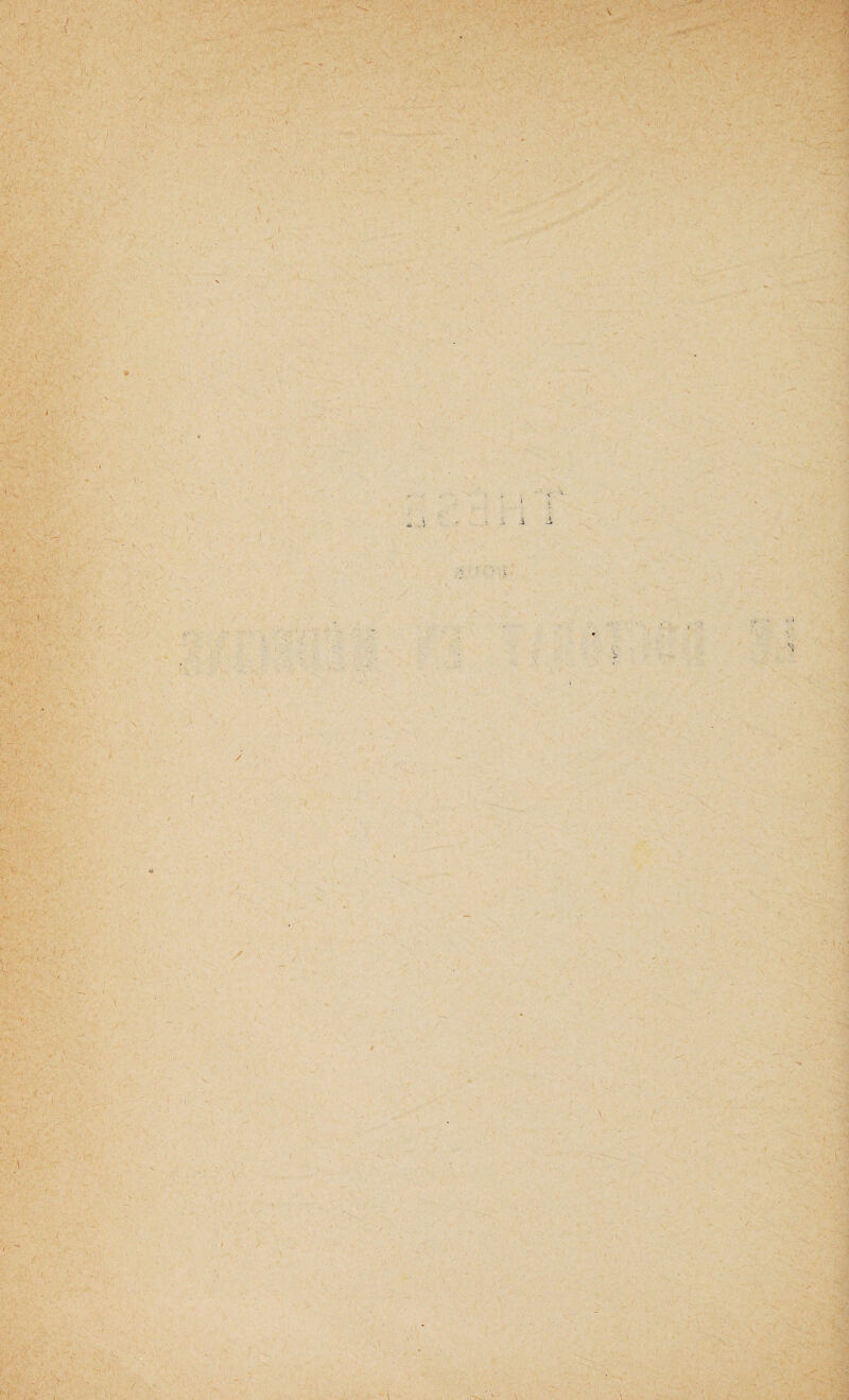 • '■•■.J' ; V ■' ^'V.V . ■> r •'• ■ • . /•<■;•. ' ■-.■ • . . A? -vi-'rvV'., *(•■'■■ ■ .. . '. A! »-iv '■■ • -V'/Sf;-.; <-. . \1 ■%, } ♦ rt.