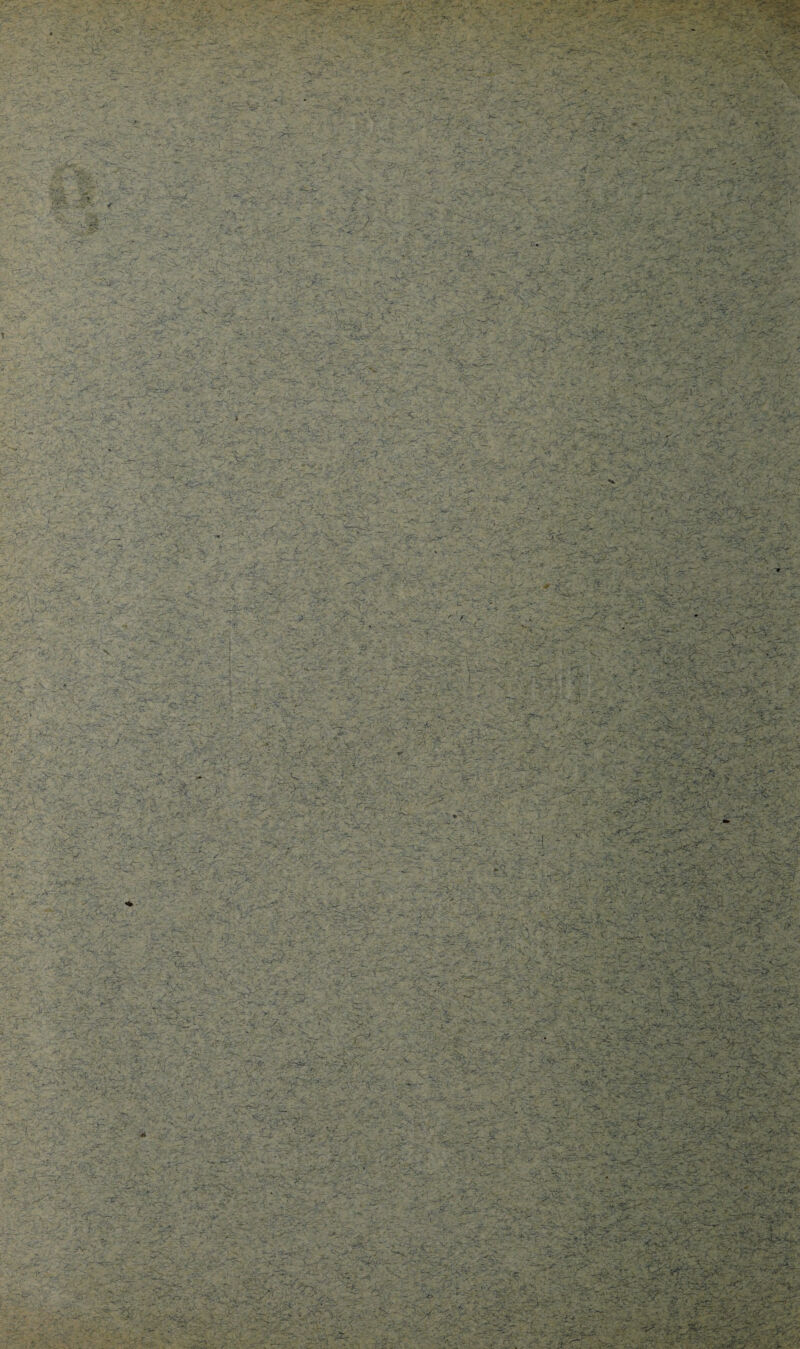 U V '- ■• ■ • ‘ .. ■ .■ *■■ ■ > , 'V- W', SarfW^vf^ ■'it ■’ .■ -’. ■■ ■'i^.- - .--r • '. ‘ -i.':?:!.'■ V. - ' '. - ^ ' y -.: -.K-^y^- : . ■;■ '. ■ ■'• .V' , ■ ■, 'C'/'-'-- ^ ■- V---*'' ,. ■iî* -■ --.y^- *. - y -/i , ^ ■‘•ï! : -f-:' ^'^'îj'i.x. Vt ■ T''il/- ' .. -•> .> '-. ^ . ï- ..-t*-‘ •■' T'■>•■' 'y- y-- -y- - '.yy^ y  c.,:^. -V- 'J, ■:y'‘'y ^ i y . 'y- . ,->■ i’'-^ ••'.T-'syA«>‘.-'i'*-^^?S--ï • ..‘ t , r^-. '■ ^ic: '■-/ v- 4, '-K .•' y—'ry ■ -■- .'■^' . '■ :■ yr\ -.>-- ■-■^ / : y^'S'y y- ' ?- O/r • ‘• -r *•<?(. ■■7 ' ■'''; ': ■.;'. - t T.;.. .ÿ -y' V.:“r: .-ÿ-^ ’^V ■ - •.•■■ y yy':y<y.^yy:- ■ ■- '• y -y-ycy:'-:y-ys--^ VS . .-. -..^ . • . •■---^^> ‘ n. • ••rVéî- - -.*■ '' >'■• - '-'V C. ^ . . y •- . • ' 1 • •. -. - i»-» >• •’T - • . îT ; ' > ■• .-?r - ^ V -: r-'- vy *'•.•-'> ^ r .,'