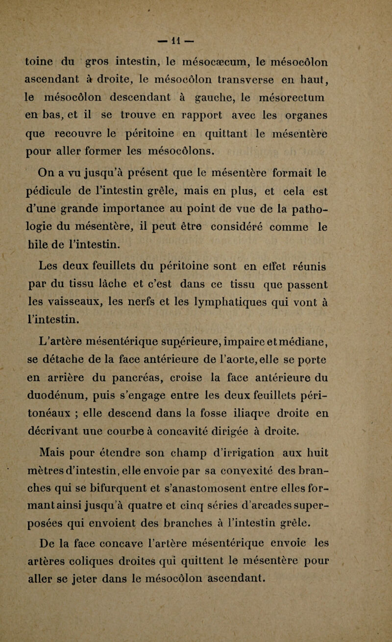 —11 — toine du gros intestin, le mésocæcum, le mésocôlon ascendant à droite, le mésocôlon transverse en haut, le mésocôlon descendant à gauche, le mésorectum en bas, et il se trouve en rapport avec les organes que recouvre le péritoine en quittant le mésentère pour aller former les mésocôlons. On a vu jusqu’à présent que le mésentère formait le pédicule de l’intestin grêle, mais en plus, et cela est d’une grande importance au point de vue de la patho¬ logie du mésentère, il peut être considéré comme le hile de l’intestin. Les deux feuillets du péritoine sont en etfet réunis par du tissu lâche et c’est dans ce tissu que passent les vaisseaux, les nerfs et les lymphatiques qui vont à l’intestin. L’artère mésentérique sup.érieure, impaire et médiane, se détache de la face antérieure de l’aorte, elle se porte en arrière du pancréas, croise la face antérieure du duodénum, puis s’engage entre les deux feuillets péri¬ tonéaux ; elle descend dans la fosse iliaque droite en décrivant une courbe à concavité dirigée à droite. Mais pour étendre son champ d’irrigation aux huit mètres d’intestin, elle envoie par sa convexité des bran¬ ches qui se bifurquent et s’anastomosent entre elles for¬ mant ainsi jusqu’à quatre et cinq séries d’arcades super¬ posées qui envoient des branches à l’intestin grêle. De la face concave l’artère mésentérique envoie les artères coliques droites qui quittent le mésentère pour aller se jeter dans le mésocôlon ascendant.
