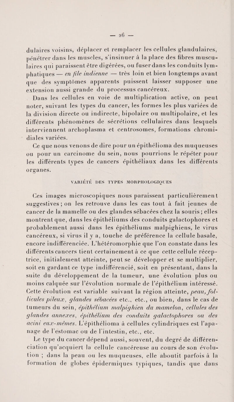 - 2<J — dulaires voisins, déplacer et remplacer les cellules glandulaires, pénétrer dans les muscles, s’insinuer à la place des fibres muscu¬ laires qui paraissent être digérées, ou fuser dans les conduits lym¬ phatiques — en file indienne — très loin et bien longtemps avant que des symptômes apparents puissent laisser supposer une extension aussi grande du processus cancéreux. Dans les cellules en voie de multiplication active, on peut noter, suivant les types du cancer, les formes les plus variées de la division directe ou indirecte, bipolaire ou multipolaire, et les différents phénomènes de sécrétions cellulaires dans lesquels interviennent archoplasma et centrosomes, formations chromi- diales variées. Ce que nous venons de dire pour un épithélioma des muqueuses ou pour un carcinome du sein, nous pourrions le répéter pour les différents types de cancers épithéliaux dans les différents organes. VARIÉTÉ DES TYPES MORPHOLOGIQUES Ces images microscopiques nous paraissent particulièrement suggestives ; on les retrouve dans les cas tout à fait jeunes de cancer de la mamelle ou des glandes sébacées chez la souris ; elles montrent que, dans les épithéliums des conduits galactophores et probablement aussi dans les épithéliums malpighiens,, le virus cancéreux, si virus il y a, touche de préférence la cellule basale, encore indifférenciée. L’hétéromorphie que Ton constate dans les différents cancers tient certainement à ce que cette cellule récep¬ trice, initialement atteinte, peut se développer et se multiplier, soit en gardant ce type indifférencié, soit en présentant, dans la suite du développement de la tumeur, une évolution plus ou moins calquée sur l’évolution normale de l'épithélium intéressé. Cette évolution est variable suivant la région atteinte, peau, fol¬ licules pileux, glandes sébacées etc., etc., ou bien, dans le cas de tumeurs du sein, épithélium malpighien du mamelon, cellules des glandes annexes, épithélium des conduits galactophores ou des acini eux-mêmes. L’épithélioma à cellules cylindriques est l’apa¬ nage de l’estomac ou de l’intestin, etc., etc. Le type du cancer dépend aussi, souvent, du degré de différen¬ ciation qu’acquiert la cellule cancéreuse au cours de son évolu¬ tion ; dans la peau ou les muqueuses, elle aboutit parfois à la formation de globes épidermiques typiques, tandis que dans