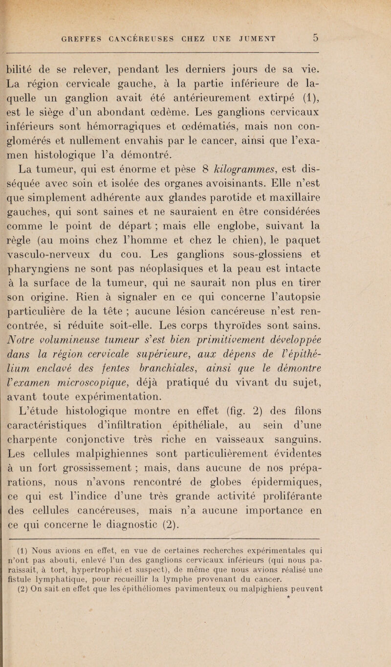 bilité de se relever, pendant les derniers jours de sa vie. La région cervicale gauche, à la partie inférieure de la¬ quelle un ganglion avait été antérieurement extirpé (1), est le siège d’un abondant œdème. Les ganglions cervicaux inférieurs sont hémorragiques et œdématiés, mais non con¬ glomérés et nullement envahis par le cancer, ainsi que l’exa¬ men histologique l’a démontré. La tumeur, qui est énorme et pèse 8 kilogrammes, est dis¬ séquée avec soin et isolée des organes avoisinants. Elle n’est que simplement adhérente aux glandes parotide et maxillaire gauches, qui sont saines et ne sauraient en être considérées comme le point de départ ; mais elle englobe, suivant la règle (au moins chez l’homme et chez le chien), le paquet vasculo-nerveux du cou. Les ganglions sous-glossiens et pharyngiens ne sont pas néoplasiques et la peau est intacte à la surface de la tumeur, qui ne saurait non plus en tirer son origine. Rien à signaler en ce qui concerne l’autopsie particulière de la tête ; aucune lésion cancéreuse n’est ren¬ contrée, si réduite soit-elle. Les corps thyroïdes sont sains. Notre volumineuse tumeur s’’est bien primitivement développée dans la région cervicale supérieure, aux dépens de Vépithé¬ lium enclavé des fentes branchiales, ainsi que le démontre Vexamen microscopique, déjà pratiqué du vivant du sujet, avant toute expérimentation. L’étude histologique montre en effet (fig. 2) des fdons caractéristiques d’infdtration épithéliale, au sein d’une charpente conjonctive très riche en vaisseaux sanguins. Les cellules malpighiennes sont particulièrement évidentes à un fort grossissement ; mais, dans aucune de nos prépa¬ rations, nous n’avons rencontré de globes épidermiques, ce qui est l’indice d’une très grande activité proliférante des cellules cancéreuses, mais n’a aucune importance en ce qui concerne le diagnostic (2). (1) Nous avions en effet, en vue de certaines recherches expérimentales qui n’ont pas abouti, enlevé l’un des ganglions cervicaux inférieurs (qui nous pa¬ raissait, à tort, hypertrophié et suspect), de même que nous avions réalisé une fistule lymphatique, pour recueillir la lymphe provenant du cancer. (2) On sait en effet que les épithéliomes pavimenteux ou malpighiens peuvent