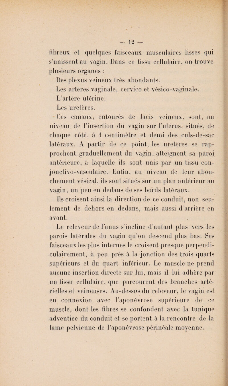 fibreux et quelques faisceaux musculaires lisses qui s’unissent au vagin. Dans ce tissu cellulaire, on trouve plusieurs organes : Des plexus veineux très abondants. Les artères vaginale, cervico et vésico-vaginale. L’artère utérine. Les uretères. -Ces canaux, entourés de lacis veineux, sont, au niveau de l’insertion du vagin sur l’utérus, situés, de chaque côté, à 1 centimètre et demi des culs-de-sac latéraux. A partir de ce point, les uretères se rap¬ prochent graduellement du vagin, atteignent sa paroi antérieure, à laquelle ils sont unis par un tissu con- jonctivo-vasculaire. Enfin, au niveau de leur abou¬ chement vésical, ils sont situés sur un plan antérieur au vagin, un peu en dedans de ses bords latéraux. Ils croisent ainsi la direction de ce conduit, non seu¬ lement de dehors en dedans, mais aussi d’arrière en avant. Le releveur de l’anus s’incline d’autant plus vers les parois latérales du vagin qu’on descend plus bas. Ses faisceaux les plus internes le croisent presque perpendi¬ culairement, à peu près à la jonction des trois quarts supérieurs et du quart inférieur. Le muscle ne prend aucune insertion directe sur lui, mais il lui adhère par un tissu cellulaire, que parcourent des branches arté¬ rielles et veineuses. Au-dessus du releveur, le vagin est en connexion avec l’aponévrose supérieure de ce muscle, dont les fibres se confondent avec la tunique adventice du conduit et se portent à la rencontre de la lame pelvienne de l’aponévrose périnéale moyenne.