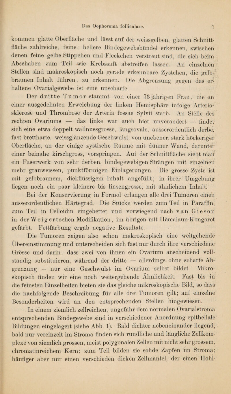 kommen glatte Oberfläche und lässt auf der weissgelben, glatten Schnitt¬ fläche zahlreiche, feine, hellere Bindegewebsbündel erkennen, zwischen denen feine gelbe Stippchen und Fleckchen verstreut sind, die sich beim Abschaben zum Teil wie Krebssaft abstreifen lassen. An einzelnen Stellen sind makroskopisch noch gerade erkennbare Zystchen, die gelb¬ braunen Inhalt führen, zu erkennen. Die Abgrenzung gegen das er¬ haltene Ovarialgewebe ist eine unscharfe. Der dritte Tumor stammt von einer 73jährigen Frau, die an einer ausgedehnten Erweichung der linken Hemisphäre infolge Arterio¬ sklerose und Thrombose der Arteria fossae Sylvii starb. An Stelle des rechten Ovariums — das linke war auch hier unverändert — findet sich eine etwa doppelt wallnussgrosse, längsovale, ausserordentlich derbe, fast brettharte, weissglänzende Geschwulst, von unebener, stark höckeriger Oberfläche, an der einige zystische Räume mit dünner Wand, darunter einer beinahe kirschgross, vorspringen. Auf der Schnittfläche sieht man ein Faserwerk von sehr derben, bindegewebigen Strängen mit einzelnen mehr grauweissen, punktförmigen Einlagerungen. Die grosse Zyste ist mit gelbbraunem, dickflüssigem Inhalt angefüllt; in ihrer Umgebung liegen noch ein paar kleinere bis linsengrosse, mit ähnlichem Inhalt. Bei der Konservierung in Formol erlangen alle drei Tumoren einen ausserordentlichen Härtegrad. Die Stücke werden zum Teil in Paraffin, zum Teil in Celloidin eingebettet und vorwiegend nach van Gieson in der Weigert sehen Modifikation, im übrigen mit Hämalaun-Kongorot gefärbt. Fettfärbung ergab negative Resultate. Die Tumoren zeigen also schon makroskopisch eine weitgehende Übereinstimmung und unterscheiden sich fast nur durch ihre verschiedene Grösse und darin, dass zwei von ihnen ein Ovarium anscheinend voll¬ ständig substituieren, während der dritte — allerdings ohne scharfe Ab¬ grenzung — nur eine Geschwulst im Ovarium selbst bildet. Mikro¬ skopisch finden wir eine noch weitergebende Ähnlichkeit. Fast bis in die feinsten Einzelheiten bieten sie das gleiche mikroskopische Bild, so dass die nachfolgende Beschreibung für alle drei Tumoren gilt; auf einzelne Besonderheiten wird an den entsprechenden Stellen hingewiesen. In einem ziemlich zellreichen, ungefähr dem normalen Ovarialstroma entsprechenden Bindegewebe sind in verschiedener Anordnung epitheliale Bildungen eingelagert (siehe Abb. 1). Bald dichter nebeneinander liegend, bald nur vereinzelt im Stroma finden sich rundliche und längliche Zellkom¬ plexe von ziemlich grossen, meist polygonalen Zellen mit nicht sehr grossem, chromatinreichem Kern; zum Teil bilden sie solide Zapfen im Stroma; häufiger aber nur einen verschieden dicken Zellmantel, der einen Hohl-