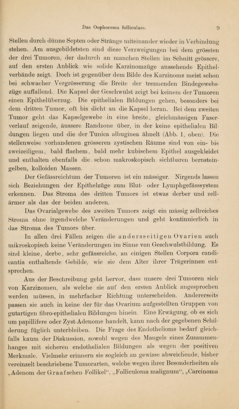 Stellen durch dünne Septen oder Stränge miteinander wieder in Verbindung stehen. Am ausgebildetsten sind diese Verzweigungen bei dem grössten der drei Tumoren, der dadurch an manchen Stellen im Schnitt grössere, auf den ersten Anblick wie solide Karzinomzüge aussehende Epithel¬ verbände zeigt. Doch ist gegenüber dem Bilde des Karzinoms meist schon bei schwacher Vergrösserung die Breite der trennenden Bindegewebs- züge auffallend. Die Kapsel der Geschwulst zeigt bei keinem der Tumoren einen Epithelüberzug. Die epithelialen Bildungen gehen, besonders bei dem dritten Tumor, oft bis dicht an die Kapsel heran. Bei dem zweiten Tumor geht das Kapselgewebe in eine breite, gleichmässigen Faser¬ verlauf zeigende, äussere Randzone über, in der keine epithelialen Bil¬ dungen liegen und die der Tunica albuginea ähnelt (Abb. 1, oben). Die stellenweise vorhandenen grösseren zystischen Räume sind von ein- bis zweizeiligem, bald flachem, bald mehr kubischem Epithel ausgekleidet und enthalten ebenfalls die. schon makroskopisch sichtbaren bernstein¬ gelben, kolloiden Massen. Der Gefässreichtum der Tumoren ist ein mässiger. Nirgends lassen sich Beziehungen der Epithelzüge zum Blut- oder Lymphgefässsystem erkennen. Das Stroma des dritten Tumors ist etwas derber und zell¬ ärmer als das der beiden anderen. Das Ovarialgewebe des zweiten Tumors zeigt ein mässig zellreiches Stroma ohne irgendwelche Veränderungen und geht kontinuierlich in das Stroma des Tumors über. In allen drei Fällen zeigen die andersseitigen Ovarien auch mikroskopisch keine Veränderungen im Sinne von Geschwulstbildung. Es sind kleine, derbe, sehr gefässreiche, an einigen Stellen Corpora candi- cantia enthaltende Gebilde, wie sie dem Alter ihrer Trägerinnen ent¬ sprechen. Aus der Beschreibung geht hervor, dass unsere drei Tumoren sich von Karzinomen, als welche sie auf den ersten Anblick angesprochen werden müssen, in mehrfacher Richtung unterscheiden. Andererseits passen sie auch in keine der für das Ovarium aufgestellten Gruppen von gutartigen tibro-epithelialen Bildungen hinein. Eine Erwägung, ob es sich um papillifere oder Zyst-Adenome handelt, kann nach der gegebenen Schil¬ derung füglich unterbleiben. Die Frage des Endothelioms bedarf gleich¬ falls kaum der Diskussion, sowohl wegen des Mangels eines Zusammen¬ hanges mit sicheren endothelialen Bildungen als wegen der positiven Merkmale. Vielmehr erinnern sie sogleich an gewisse abweichende, bisher vereinzelt beschriebene Tumorarten, welche wegen ihrer Besonderheiten als „Adenom der Graafsehen Follikel“, „Folliculoma malignum“, „Carcinoma