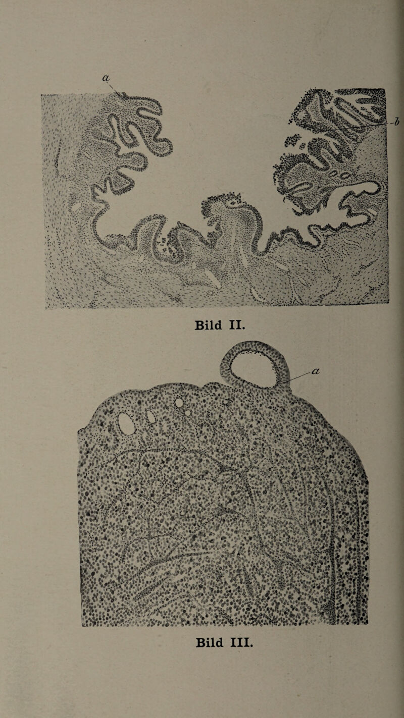 ? • • •: «:»T /v'-i mzt;' mrmä toÄ5^: wmmm fit MH mmxmm SMT felSKS • ’V> V f »»®Vl.r ------ L, fe» Ä Bild III