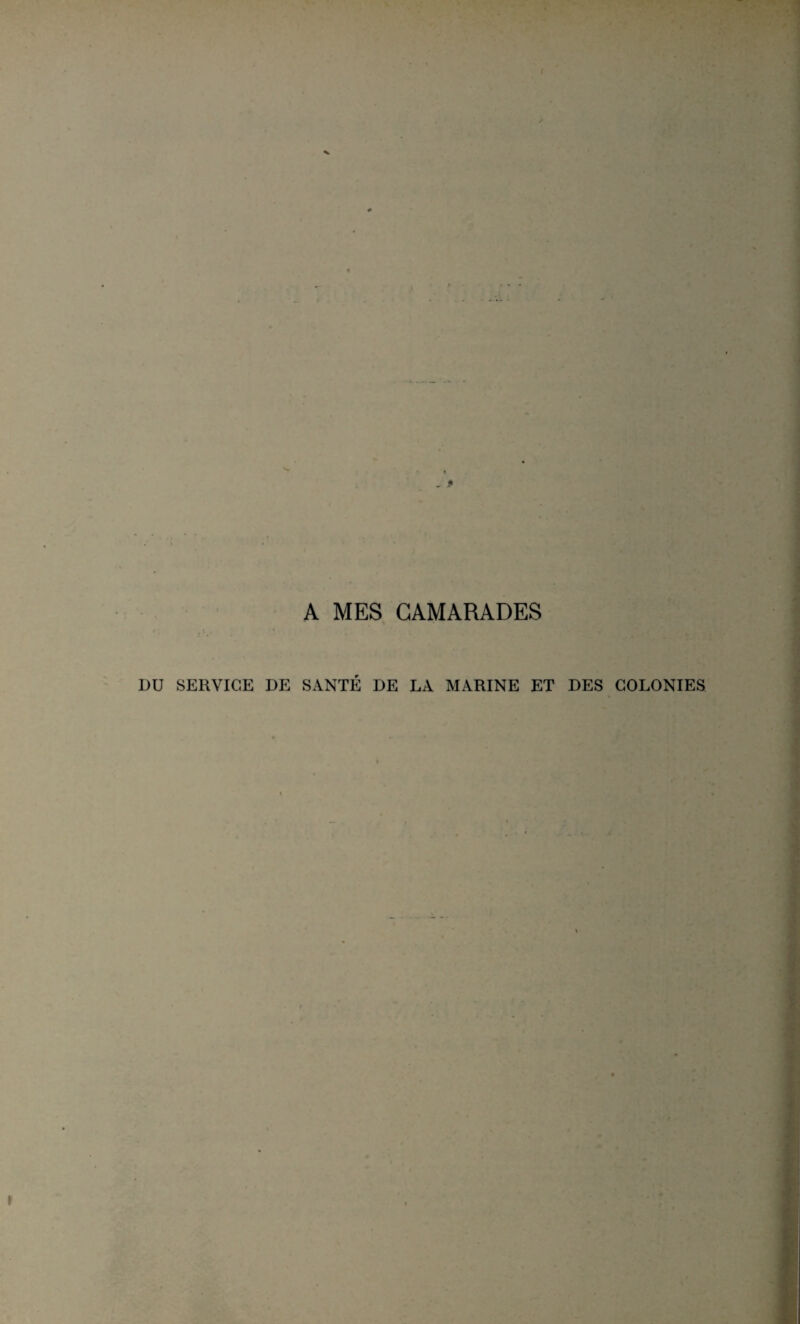 A MES CAMARADES DU SERVICE DE SANTÉ DE LA MARINE ET DES COLONIES