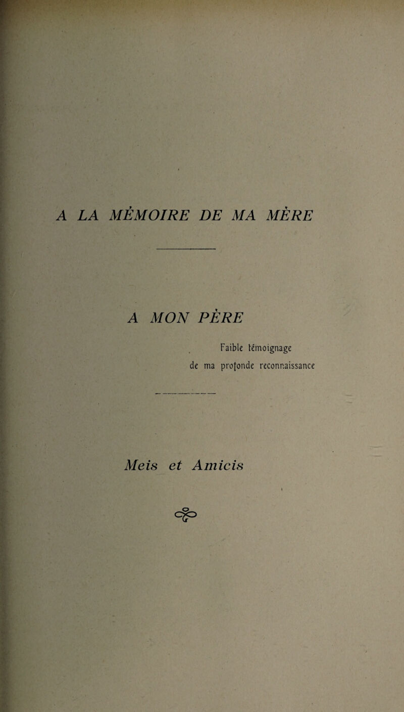 A LA MÉMOIRE DE MA MÈRE A MON PÈRE Faible témoignage de ma profonde reconnaissance Meis et Amicis