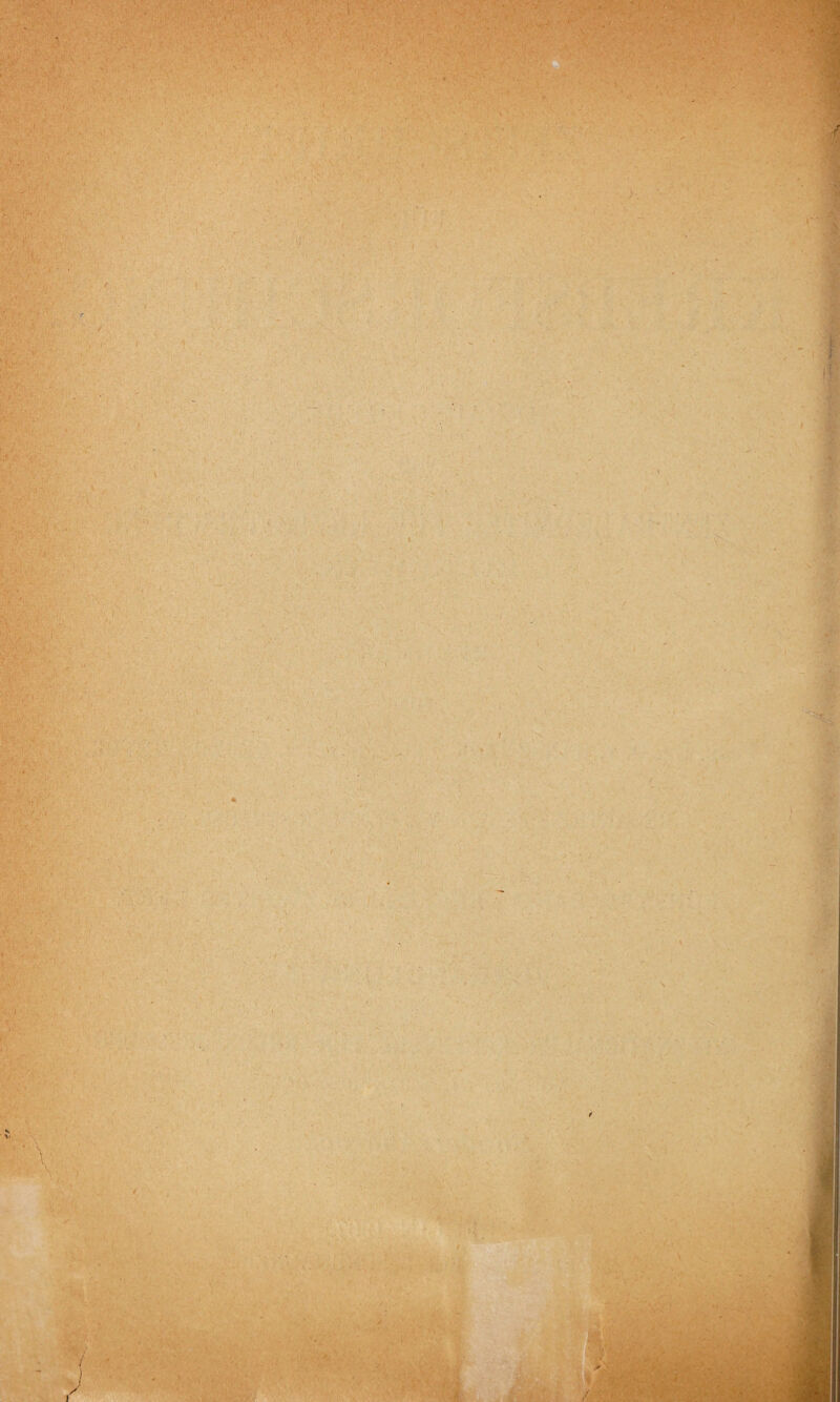 . \v ■ -r ■ . ' • f '■ i; . ;- . >. • . ’ * • ;* : ■ i , r .* ' - i i ! » ■ ■ , > px- ' ■hm . i - . . f ifi r «« -.4 .'•1 tV , . . V . ' ;/':V :. v’ ■ , i . . - V, ■ \ :| ; : \ 1 C ' • \ , •• ; ■ ■ . ■■ 1 -v -i • , ■ • v • \ . >■•’•. • L«r5 - •!' , . i *.v’ 1 : -A-ru. ' 1 / i V •* S ■%£ /•- ' . - ■ . : ■ W. ‘»ViT '■ ' • \ ' *; . I V *