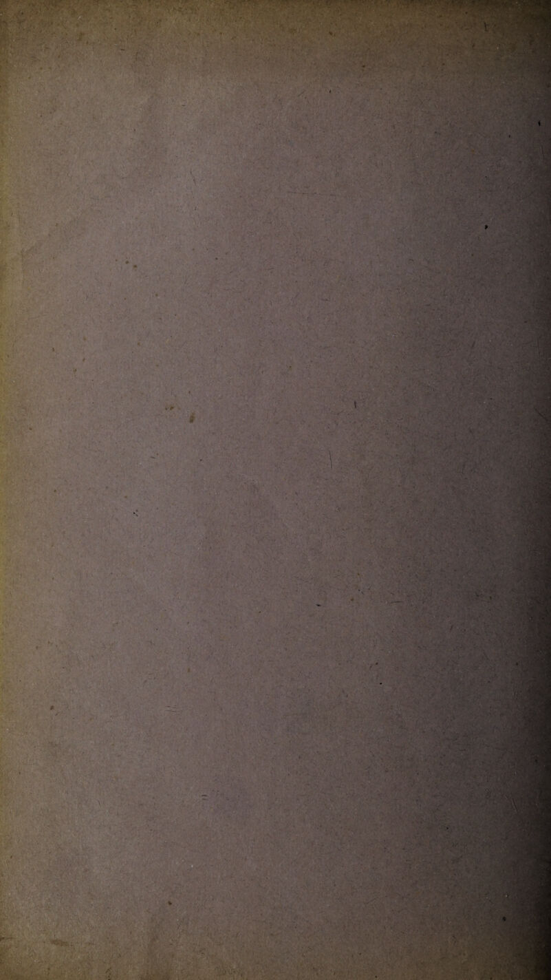 ■ ! * ■', -y \ 4 > v * * / ’i