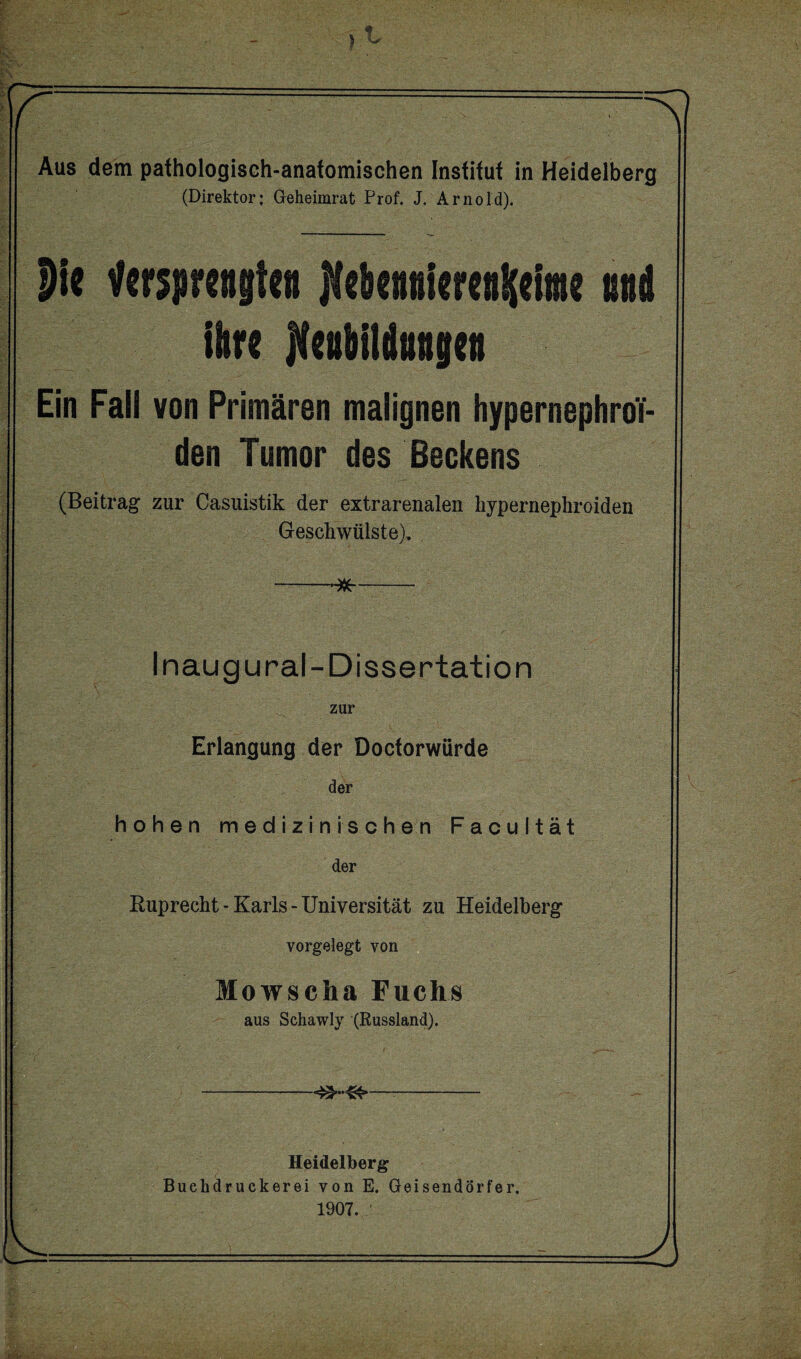 Aus dem pathologisch-anatomischen Institut in Heidelberg (Direktor: Geheimrat Prof. J. Arnold). Die Versprengtet] jlebennierenKelme nnd ihre Ifenbildnngen Ein Fall von Primären malignen hypernephroi- den Tumor des Beckens (Beitrag zur Casuistik der extrarenalen hypernephroiden Geschwülste), ---- Inaug ural-Dissertation zur Erlangung der Doctorwürde der hohen medizinischen Facultät der Ruprecht - Karls - Universität zu Heidelberg vorgelegt von Mowscha Fuchs aus Schawly (Russland). -<^...^>—-- Heidelberg Buehdruckerei von E. Geisendörfer. 1907.