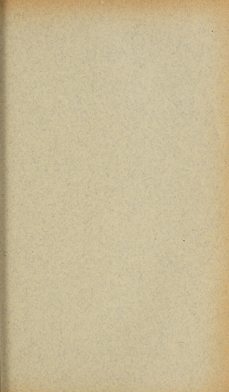 • - . . i • A \ - -1 . ' • .y