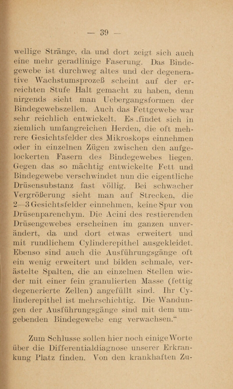 wellige Stränge, da und dort zeigt sich auch eine mehr geradlinige Faserung. Das Ihnde- gewcbe ist durchweg altes und der degenera- tive Wachstunisprozeß scheint auf der er¬ reichten Stufe Halt gemacht zu haben, denn nirgends sieht man Uebergangsformen der ihndegewebszellen. Auch das Fettgewebe war sehr reichlich entwickelt. Es .findet sich in ziemlich umfangreichen Herden, die oft meh¬ rere Gesichtsfelder des Mikroskops einnehmen oder in einzelnen Zügen zwischen den auf ge¬ lockerten Fasern des Bindegewebes liegen. Gegen das so mächtig entwickelte Fett und Bindegewebe verschwindet nun die eigentliche Drüsensubstanz fast völlig. Bei schwacher Vergrößerung sieht man auf Strecken, 2—3 Gesichtsfelder einnehmen, keine Spur die von Drüsenparenchym. Die Acini des restierenden Drüsengewebes erscheinen im ganzen unver¬ ändert, da und dort etwas erweitert und mit rundlichem Cylinderepithel ausgekleidet. Ebenso sind auch die Ausführungsgänge ein wenig erweitert und bilden schmale. oft ver¬ ästelte ySjDalten, die an einzelnen Stellen wie¬ der mit einer fein granulierten Masse (fettig degenerierte Zellen) angefüllt sind. Ihr Cy¬ linderepithel ist mehrschichtig. Die Wandun¬ gen der Ausführungsgänge sind mit dem um¬ gebenden Bindegewebe eng verwachsen.“ Zum Schlüsse sollen hier noch einigvAV'orte über die Differentialdiagnose unserer Erkran¬ kung Blatz finden. A^on den krankhaften Zu-