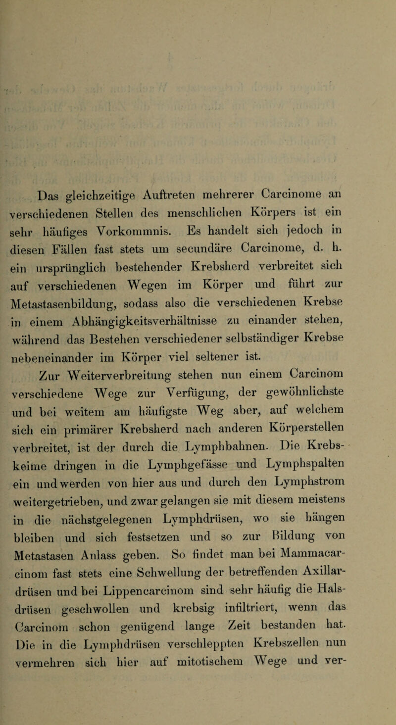 Das gleichzeitige Auftreten mehrerer Carcinome an verschiedenen Stellen des menschlichen Körpers ist ein sehr häufiges Vorkommnis. Es handelt sich jedoch in diesen Fällen fast stets um secundäre Carcinome, d. h. ein ursprünglich bestehender Krebsherd verbreitet sich auf verschiedenen Wegen im Körper und führt zur Metastasenbildung, sodass also die verschiedenen Krebse in einem Abhängigkeitsverhältnisse zu einander stehen, während das Bestehen verschiedener selbständiger Krebse nebeneinander im Körper viel seltener ist. Zur Weiterverbreitung stehen nun einem Carcinom verschiedene Wege zur Verfügung, der gewöhnlichste und bei weitem am häufigste Weg aber, auf welchem sich ein primärer Krebsherd nach anderen Körperstellen verbreitet, ist der durch die Lymphbahnen. Die Krebs¬ keime dringen in die Lymphgefässe und Lymphspalten ein und werden von hier aus und durch den Lymphstrom weitergetrieben, und zwar gelangen sie mit diesem meistens in die nächstgelegenen Lymphdrüsen, wo sie hängen bleiben und sich festsetzen und so zur Bildung von Metastasen Anlass geben. So findet man bei Mammacar- cinom fast stets eine Schwellung der betreffenden Axillar¬ drüsen und bei Lippencarcinom sind sehr häufig die Hals¬ drüsen geschwollen und krebsig infiltriert, wenn das Carcinom schon genügend lange Zeit bestanden hat. Die in die Lymphdrüsen verschleppten Krebszellen nun vermehren sich hier auf mitotischem Wege und ver-