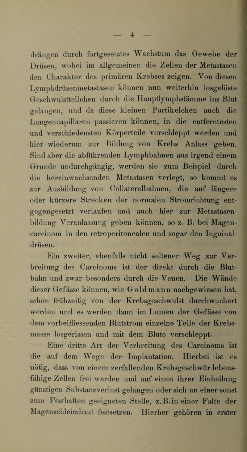 drängen durch fortgesetztes Wachstum das Gewebe der Drüsen, wobei im allgemeinen die Zellen der Metastasen den Charakter des primären Krebses zeigen. Von diesen Lymphdrüsenmetastasen können nun weiterhin losgelöste Geschwulstteilchen durch die Hauptlymphstämme ins Blut gelangen, und da diese kleinen Partikelchen auch die Lungencapillaren passieren können, in die entferntesten und verschiedensten Körperteile verschleppt werden und hier wiederum zur Bildung von Krebs Anlass geben. Sind aber die abführenden Lymphbahnen aus irgend einem Grunde undurchgängig, werden sie zum Beispiel durch die hereinwachsenden Metastasen verlegt, so kommt es zur Ausbildung von Collateralbahnen, die auf längere oder kürzere Strecken der normalen Stromrichtung ent¬ gegengesetzt verlaufen und auch hier zur Metastasen¬ bildung Veranlassung geben können, so z. B. bei Magen- carcinom in den retroperitonealen und sogar den Inguinal- drüsen. Ein zweiter, ebenfalls nicht seltener Weg zur Ver¬ breitung des Carcinoms ist der direkt durch die Blut- balm und zwar besonders durch die Venen. Die Wände dieser Gefässe können, wie Gold mann nachgewiesen hat, schon frühzeitig von der Krebsgeschwulst durchwuchert werden und es werden dann im Lumen der Gefässe von dem vorbeifliessenden Blutstrom einzelne Teile der Krebs¬ masse losgerissen und mit dem Blute verschleppt. Eine dritte Art der Verbreitung des Carcinoms ist die auf dem Wege der Implantation. Hierbei ist es nötig, dass von einem zerfallenden Krebsgeschwür lebens¬ fähige Zellen frei werden und auf einen ihrer Einheilung günstigen Substanzverlust gelangen oder sich an einer sonst zum Eesthaften geeigneten Stelle, z.B. in einer Falte der Magenschleimhaut festsetzen. Hierher gehören in erster