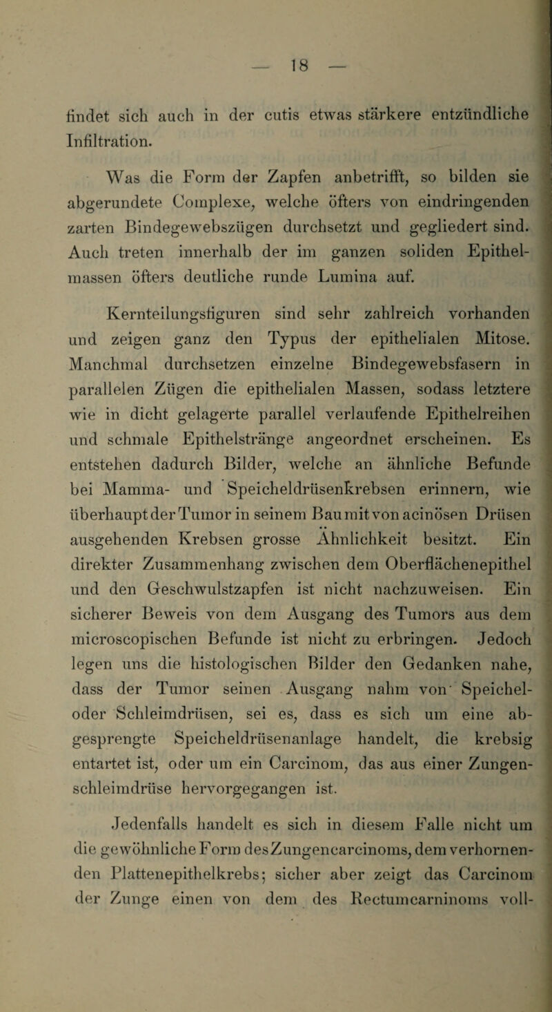 findet sich auch in der cutis etwas stärkere entzündliche Infiltration. Was die Form der Zapfen anbetrifft, so bilden sie abgerundete Complexe, welche öfters von eindringenden zarten Bindegewebsziigen durchsetzt und gegliedert sind. Auch treten innerhalb der im ganzen soliden Epithel- massen öfters deutliche runde Lumina auf. Kernteilungsfiguren sind sehr zahlreich vorhanden und zeigen ganz den Typus der epithelialen Mitose. Manchmal durchsetzen einzelne Bindegewebsfasern in parallelen Zügen die epithelialen Massen, sodass letztere wie in dicht gelagerte parallel verlaufende Epithelreihen und schmale Epithelstränge angeordnet erscheinen. Es entstehen dadurch Bilder, welche an ähnliche Befunde bei Mamma- und Speicheldrüsenkrebsen erinnern, wie überhaupt der Tumor in seinem Bau mit von acinösen Drüsen ausgehenden Krebsen grosse Ähnlichkeit besitzt. Ein direkter Zusammenhang zwischen dem Oberflächenepithel und den Geschwulstzapfen ist nicht nachzuweisen. Ein sicherer Beweis von dem Ausgang des Tumors aus dem microscopischen Befunde ist nicht zu erbringen. Jedoch legen uns die histologischen Bilder den Gedanken nahe, dass der Tumor seinen Ausgang nahm von Speichel¬ oder Schleimdrüsen, sei es, dass es sich um eine ab¬ gesprengte Speicheldrüsenanlage handelt, die krebsig entartet ist, oder um ein Carcinom, das aus einer Zungen¬ schleimdrüse hervorgegangen ist. Jedenfalls handelt es sich in diesem Falle nicht um die gewöhnliche Form desZungencarcinoms, dem verhornen¬ den Plattenepithelkrebs; sicher aber zeigt das Carcinom der Zunge einen von dem des Rectumcarninoms voll-