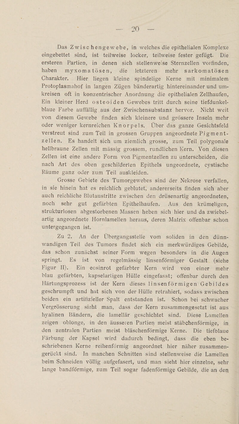 Das Zwischengewebe, in welches die epithelialen Komplexe eingebettet sind, ist teilweise locker, teilweise fester gefügt. Die ersteren Partien, in denen sich stellenweise Sternzellen vorfinden, haben myxoma tosen, die letzteren mehr sarkomatösen Charakter. Hier liegen kleine spindelige Kerne mit minimalem Protoplasmahof in langen Zügen bänderartig hintereinander und um¬ kreisen oft in konzentrischer Anordnung die epithelialen Zellhaufen, Ein kleiner Herd osteoiden Gewebes tritt durch seine tiefdunkel¬ blaue Farbe auffällig aus der Zwischensubstanz hervor. Nicht weit von diesem Gewebe finden sich kleinere und grössere Inseln mehr oder weniger kernreichen Knorpels. Über das ganze Gesichtsfeld verstreut sind zum Teil in grossen Gruppen angeordnete Pigment¬ zellen. Es handelt sich um ziemlich grosse, zum Teil polygonale hellbraune Zellen mit mässig grossem, rundlichen Kern. Von diesen Zellen ist eine andere Form von Pigmentzellen zu unterscheiden, die nach Art des oben geschilderten Epithels ungeordnete, cystische Räume ganz oder zum Teil auskleiden. Grosse Gebiete des Tumorgewebes sind der Nekrose verfallen, in sie hinein hat es reichlich geblutet, andererseits finden sich aber auch reichliche Blutaustritte zwischen den drüsenartig angeordneten, noch sehr gut gefärbten Epithelhaufen. Aus den krümeligen, strukturlosen abgestorbenen Massen heben sich hier und da zwiebel¬ artig angeordnete Hornlamellen heraus, deren Matrix offenbar schon untergegangen ist. Zu 2. An der Übergangsstelle vom soliden in den dünn¬ wandigen Teil des Tumors findet sich ein merkwürdiges Gebilde, das schon zunächst seiner Form wegen besonders in die Augen springt. Es ist von regelmässig linsenförmiger Gestalt (siehe Figur II). Ein eosinrot gefärbter Kern wird von einer mehr blau gefärbten, kapselartigen Hülle eingefasst; offenbar durch den Härtungsprozess ist der Kern dieses linsenförmigen Gebildes geschrumpft und hat sich von der Hülle retrahiert, sodass zwischen beiden ein artifizieller Spalt entstanden ist. Schon bei schwacher Vergrösserung sieht man, dass der Kern zusammengesetzt ist aus hyalinen Bändern, die lamellär geschichtet sind. Diese Lamellen zeigen oblonge, in den äusseren Partien meist stäbchenförmige, in den zentralen Partien meist bläschenförmige Kerne. Die tiefblaue Färbung der Kapsel wird dadurch bedingt, dass die eben be¬ schriebenen Kerne reihenförmig angeordnet hier näher zusammen¬ gerückt sind. In manchen Schnitten sind stellenweise die Lamellen beim Schneiden völlig aufgefasert, und man sieht hier einzelne, sehr lange bandförmige, zum Teil sogar fadenförmige Gebilde, die an den,