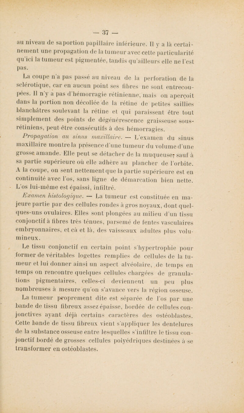 au niveau (le sa portion papillaire inférieure, il y a là certai¬ nement une propagation de la tumeur avec cette particularité qu ici la tumeur est pigmentée, tandis qu’ailleurs elle ne l’est pas. La coupe n a pas passé au niveau de la perforation de la s< léiotique, car en aucun point ses fibres ne sont entrecou¬ pées. 11 n y a pas d hémorragie rétinienne, mais on aperçoit dans la portion non décollée de la rétine de petites saillies blanchâtres soulevant la rétine et qui paraissent être tout simplement des points de dégénérescence graisseuse sous- rétiniens, peut-être consécutifs à des hémorragies. I ropagation au sinus maxillaire. — L examen du sinus maxillaire montre la présence d’une tumeur du volume d’une grosse amande. Elle peut se détacher de la muqueuse; sauf à sa partie supérieure où elle adhère au plancher de l’orbite. A la coupe, on sent nettement que la partie supérieure est en continuité avec 1 os, sans ligne de démarcation bien nette. L'os lui-même est épaissi, infiltré. Examen histologique. — La tumeur est constituée en ma¬ jeure partie par des cellules rondes à gros noyaux, dont quel¬ ques-uns ovulaires. Elles sont plongées au milieu d’un tissu conjonctif à libres très ténues, parsemé de fentes vasculaires embryonnaires, et eà et là, des vaisseaux adultes plus volu¬ mineux. Le tissu conjonctif en certain point s’hypertrophie pour former de véritables logettes remplies de cellules de la tu¬ meur et lui donner ainsi un aspect alvéolaire, de temps en temps on rencontre quelques cellules chargées de granula¬ tions pigmentaires, celles-ci deviennent un peu plus nombreuses a mesure qu’on s’avance vers la région osseuse. La tumeur proprement dite est séparée de l’os par une bande de tissu fibreux assez épaisse, bordée de cellules con¬ jonctives ayant déjà certains caractères des ostéoblastes. Cette bande de tissu fibreux vient s’appliquer les dentelures de la substance osseuse entre lesquelles s’infiltre le tissu con¬ jonctif bordé de grosses cellules polyédriques destinées à se transformer en ostéoblastes.