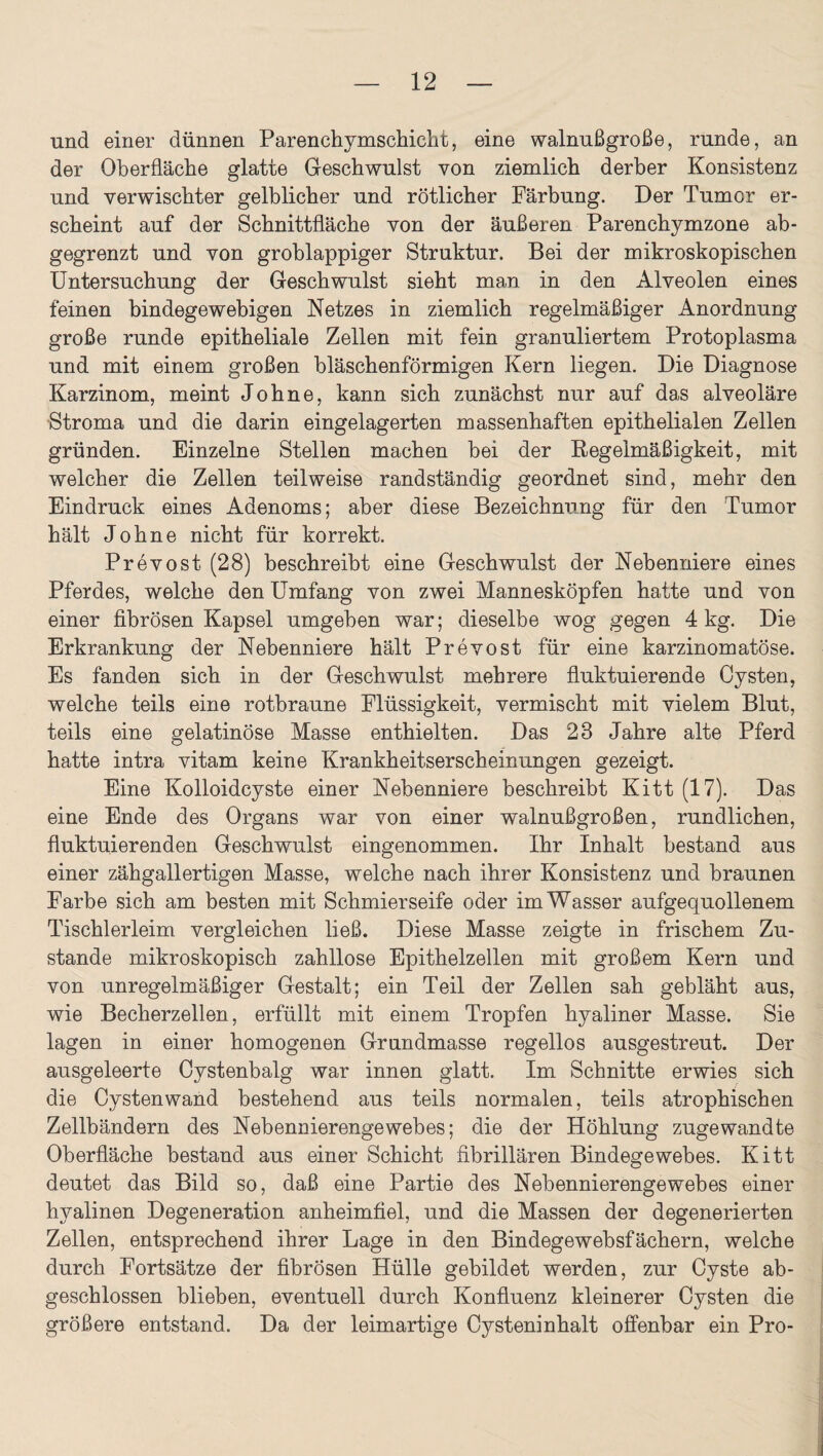 und einer dünnen Parenchymschicht, eine walnußgroße, runde, an der Oberfläche glatte Geschwulst von ziemlich derber Konsistenz und verwischter gelblicher und rötlicher Färbung. Der Tumor er¬ scheint auf der Schnittfläche von der äußeren Parenchymzone ab¬ gegrenzt und von groblappiger Struktur. Bei der mikroskopischen Untersuchung der Geschwulst sieht man in den Alveolen eines feinen bindegewebigen Netzes in ziemlich regelmäßiger Anordnung große runde epitheliale Zellen mit fein granuliertem Protoplasma und mit einem großen bläschenförmigen Kern liegen. Die Diagnose Karzinom, meint Johne, kann sich zunächst nur auf das alveoläre Stroma und die darin eingelagerten massenhaften epithelialen Zellen gründen. Einzelne Stellen machen bei der Kegelmäßigkeit, mit welcher die Zellen teilweise randständig geordnet sind, mehr den Eindruck eines Adenoms; aber diese Bezeichnung für den Tumor hält Johne nicht für korrekt. Prevost (28) beschreibt eine Geschwulst der Nebenniere eines Pferdes, welche den Umfang von zwei Mannesköpfen hatte und von einer fibrösen Kapsel umgeben war; dieselbe wog gegen 4 kg. Die Erkrankung der Nebenniere hält Prevost für eine karzinomatöse. Es fanden sich in der Geschwulst mehrere fluktuierende Cysten, welche teils eine rotbraune Flüssigkeit, vermischt mit vielem Blut, teils eine gelatinöse Masse enthielten. Das 28 Jahre alte Pferd hatte intra vitam keine Krankheitserscheinungen gezeigt. Eine Kolloidcyste einer Nebenniere beschreibt Kitt (17). Das eine Ende des Organs war von einer walnußgroßen, rundlichen, fluktuierenden Geschwulst eingenommen. Ihr Inhalt bestand aus einer zähgallertigen Masse, welche nach ihrer Konsistenz und braunen Farbe sich am besten mit Schmierseife oder im Wasser aufgequollenem Tischlerleim vergleichen ließ. Diese Masse zeigte in frischem Zu¬ stande mikroskopisch zahllose Epithelzellen mit großem Kern und von unregelmäßiger Gestalt; ein Teil der Zellen sah gebläht aus, wie Becherzellen, erfüllt mit einem Tropfen hyaliner Masse. Sie lagen in einer homogenen Grundmasse regellos ausgestreut. Der ausgeleerte Cystenbalg war innen glatt. Im Schnitte erwies sich die Cysten wand bestehend aus teils normalen, teils atrophischen Zellbändern des Nebennierengewebes; die der Höhlung zugewandte Oberfläche bestand aus einer Schicht fibrillären Bindegewebes. Kitt deutet das Bild so, daß eine Partie des Nebennierengewebes einer hyalinen Degeneration anheimfiel, und die Massen der degenerierten Zellen, entsprechend ihrer Lage in den Bindegewebsfächern, welche durch Fortsätze der fibrösen Hülle gebildet werden, zur Cyste ab¬ geschlossen blieben, eventuell durch Konfluenz kleinerer Cysten die größere entstand. Da der leimartige Cysteninhalt offenbar ein Pro-