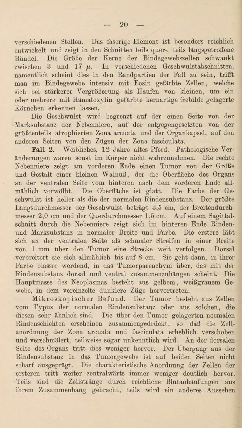 verschiedenen Stellen. Das faserige Element ist besonders reichlich entwickelt und zeigt in den Schnitten teils quer-, teils längsgetroffene Bündel. Die Größe der Kerne der Bindegewebszellen schwankt zwischen 3 und 17 /jl. In verschiedenen Geschwulstabschnitten, namentlich scheint dies in den Bandpartien der Fall zu sein, trifft man im Bindegewebe intensiv mit Eosin gefärbte Zellen, welche sich bei stärkerer Vergrößerung als Haufen von kleinen, um ein oder mehrere mit Hämatoxylin gefärbte kernartige Gebilde gelagerte Körnchen erkennen lassen. Die Geschwulst wird begrenzt auf der einen Seite von der Marksubstanz der Nebenniere, auf der entgegengesetzten von der größtenteils atrophierten Zona arcuata und der Organkapsel, auf den anderen Seiten von den Zügen der Zona fasciculata. Fall 2. Weibliches, 12 Jahre altes Pferd. Pathologische Ver¬ änderungen waren sonst im Körper nicht wahrzunehmen. Die rechte Nebenniere zeigt am vorderen Ende einen Tumor von der Größe und Gestalt einer kleinen Walnuß, der die Oberfläche des Organs an der ventralen Seite vom hinteren nach dem vorderen Ende all¬ mählich vorwölbt. Die Oberfläche ist glatt. Die Farbe der Ge¬ schwulst ist. heller als die der normalen Rindensubstanz. Der größte Längsdurchmesser der Geschwulst beträgt 3,5 cm, der Breitendurch¬ messer 2,0 cm und der Querdurchmesser 1,5 cm. Auf einem Sagittal- schnitt durch die Nebenniere zeigt sich im hinteren Ende Rinden- und Marksubstanz in normaler Breite und Farbe. Die erstere läßt sich an der ventralen Seite als schmaler Streifen in einer Breite von 1 mm über den Tumor eine Strecke weit verfolgen. Dorsal verbreitert sie sich allmählich bis auf 8 cm. Sie geht dann, in ihrer Farbe blasser werdend, in das Tumorparenchym über, das mit der Rindensubstanz dorsal und ventral zusammenzuhängen scheint. Die Hauptmasse des Neoplasmas besteht aus gelbem, weißgrauem Ge¬ webe, in dem vereinzelte dunklere Züge hervortreten. Mikroskopischer Befund. Der Tumor besteht aus Zellen vom Typus der normalen Rindensubstanz oder aus solchen, die diesen sehr ähnlich sind. Die über den Tumor gelagerten normalen Rindenschichten erscheinen zusammengedrückt, so daß die Zell¬ anordnung der Zona arcuata und fasciculata erheblich verschoben und verschmälert, teilweise sogar unkenntlich wird. An der dorsalen Seite des Organs tritt dies weniger hervor. Der Übergang aus der Rindensubstanz in das Tumorgewebe ist auf beiden Seiten nicht scharf ausgeprägt. Die charakteristische Anordnung der Zellen der ersteren tritt weiter zentralwärts immer weniger deutlich hervor. Teils sind die Zellstränge durch reichliche Blutanhäufungen aus ihrem Zusammenhang gebracht, teils wird ein anderes Aussehen