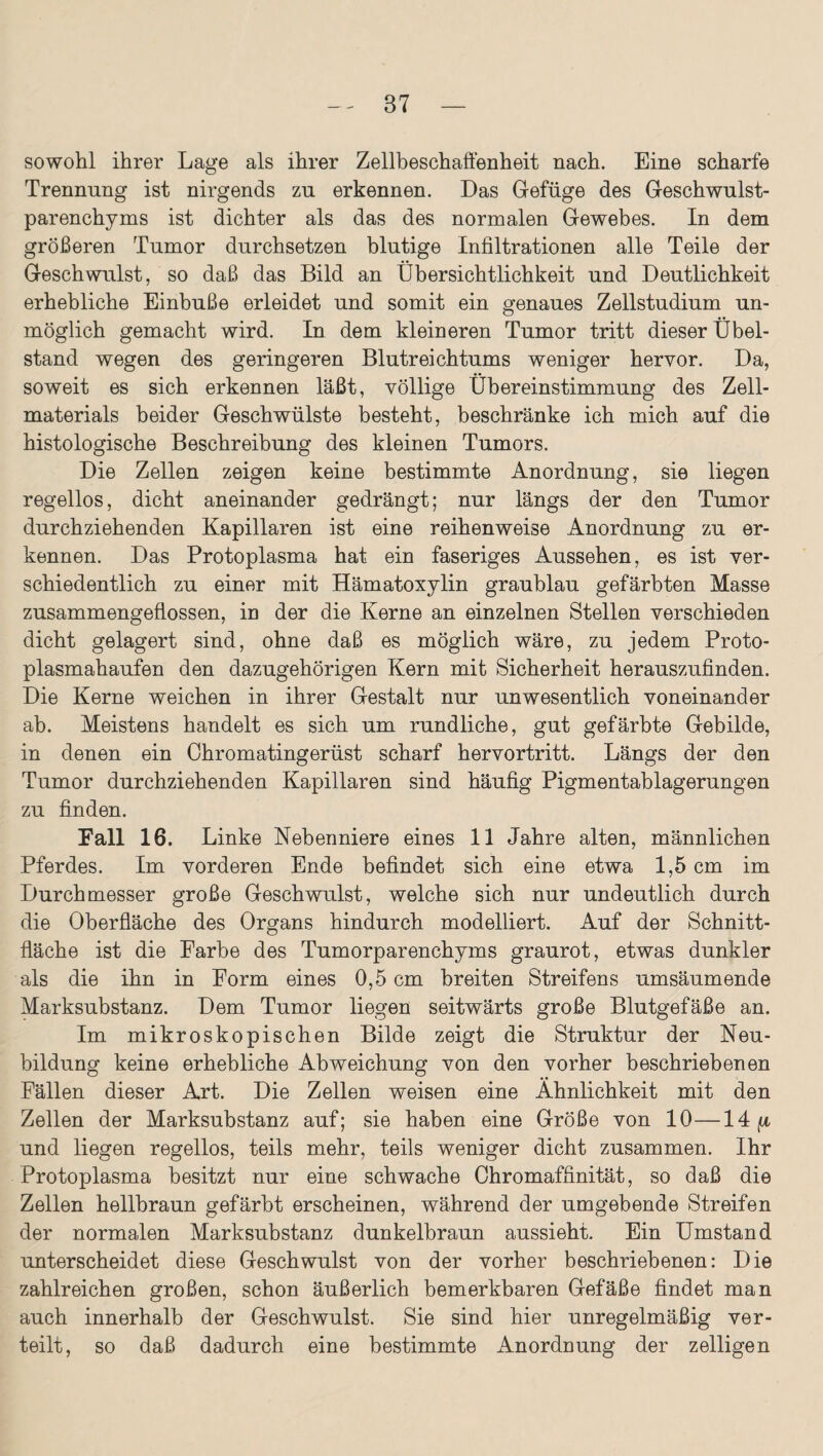 sowohl ihrer Lage als ihrer Zellbeschaffenheit nach. Eine scharfe Trennung ist nirgends zu erkennen. Das Gefüge des Geschwulst¬ parenchyms ist dichter als das des normalen Gewebes. In dem größeren Tumor durchsetzen blutige Infiltrationen alle Teile der Geschwulst, so daß das Bild an Übersichtlichkeit und Deutlichkeit erhebliche Einbuße erleidet und somit ein genaues Zellstudium un¬ möglich gemacht wird. In dem kleineren Tumor tritt dieser Übel¬ stand wegen des geringeren Blutreichtums weniger hervor. Da, soweit es sich erkennen läßt, völlige Übereinstimmung des Zell¬ materials beider Geschwülste besteht, beschränke ich mich auf die histologische Beschreibung des kleinen Tumors. Die Zellen zeigen keine bestimmte Anordnung, sie liegen regellos, dicht aneinander gedrängt; nur längs der den Tumor durchziehenden Kapillaren ist eine reihenweise Anordnung zu er¬ kennen. Das Protoplasma hat ein faseriges Aussehen, es ist ver¬ schiedentlich zu einer mit Hämatoxylin graublau gefärbten Masse zusammengeflossen, in der die Kerne an einzelnen Stellen verschieden dicht gelagert sind, ohne daß es möglich wäre, zu jedem Proto¬ plasmahaufen den dazugehörigen Kern mit Sicherheit herauszufinden. Die Kerne weichen in ihrer Gestalt nur unwesentlich voneinander ab. Meistens handelt es sich um rundliche, gut gefärbte Gebilde, in denen ein Chromatingerüst scharf hervortritt. Längs der den Tumor durchziehenden Kapillaren sind häufig Pigmentablagerungen zu finden. Fall 16. Linke Nebenniere eines 11 Jahre alten, männlichen Pferdes. Im vorderen Ende befindet sich eine etwa 1,5 cm im Durchmesser große Geschwulst, welche sich nur undeutlich durch die Oberfläche des Organs hindurch modelliert. Auf der Schnitt¬ fläche ist die Farbe des Tumorparenchyms graurot, etwas dunkler als die ihn in Form eines 0,5 cm breiten Streifens umsäumende Marksubstanz. Dem Tumor liegen seitwärts große Blutgefäße an. Im mikroskopischen Bilde zeigt die Struktur der Neu¬ bildung keine erhebliche Abweichung von den vorher beschriebenen Fällen dieser Art. Die Zellen weisen eine Ähnlichkeit mit den Zellen der Marksubstanz auf; sie haben eine Größe von 10—14 ft und liegen regellos, teils mehr, teils weniger dicht zusammen. Ihr Protoplasma besitzt nur eine schwache Chromaffinität, so daß die Zellen hellbraun gefärbt erscheinen, während der umgebende Streifen der normalen Marksubstanz dunkelbraun aussieht. Ein Umstand unterscheidet diese Geschwulst von der vorher beschriebenen: Die zahlreichen großen, schon äußerlich bemerkbaren Gefäße findet man auch innerhalb der Geschwulst. Sie sind hier unregelmäßig ver¬ teilt, so daß dadurch eine bestimmte Anordnung der zelligen