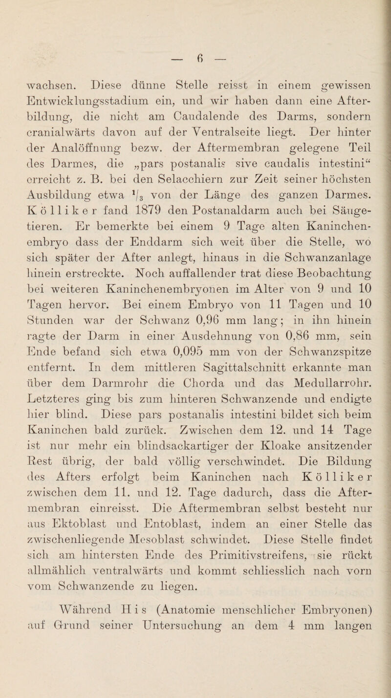 ivachsen. Diese dünne Stelle reisst in einem gewissen Entwicklungsstadium ein, und wir haben dann eine After¬ bildung, die nicht am Caudalende des Darms, sondern cranialwärts davon auf der Ventralseite liegt. Der hinter der Analöffnung bezw. der Aftermembran gelegene Teil des Darmes, die „pars postanalis sive caudalis intestini“ erreicht z. B. bei den Selacchiern zur Zeit seiner höchsten Ausbildung etwa % von der Länge des ganzen Darmes. Kölliker fand 1879 den Postanaldarm auch bei Säuge¬ tieren. Er bemerkte bei einem 9 Tage alten Kaninchen¬ embryo dass der Enddarm sich weit über die Stelle, wo sich später der After anlegt, hinaus in die Schwanzanlage hinein erstreckte. Noch auffallender trat diese Beobachtung bei weiteren Kaninchenembryonen im Alter von 9 und 10 Tagen hervor. Bei einem Embryo von 11 Tagen und 10 Stunden war der Schwanz 0,96 mm lang; in ihn hinein ragte der Darm in einer Ausdehnung von 0,86 mm, sein Ende befand sich etwa 0,095 mm von der Schwanzspitze entfernt. In dem mittleren Sagittalschnitt erkannte man über dem Darmrohr die Chorda und das Medullarrohr. Letzteres ging bis zum hinteren Schwanzende und endigte liier blind. Diese pars postanalis intestini bildet sich beim Kaninchen bald zurück. Zwischen dem 12. und 14 Tage ist nur mehr ein blindsackartiger der Kloake ansitzender Best übrig, der bald völlig verschwindet. Die Bildung des Afters erfolgt beim Kaninchen nach Kölliker zwischen dem 11. und 12. Tage dadurch, dass die After¬ membran einreisst. Die Aftermembran selbst besteht nur aus Ektoblast und Entoblast, indem an einer Stelle das zwischenliegende Mesoblast schwindet. Diese Stelle findet sich am hintersten Ende des Primitivstreifens, sie rückt allmählich ventralwärts und kommt schliesslich nach vorn vom Schwanzende zu liegen. Während His (Anatomie menschlicher Embryonen) auf Grund seiner Untersuchung an dem 4 mm langen