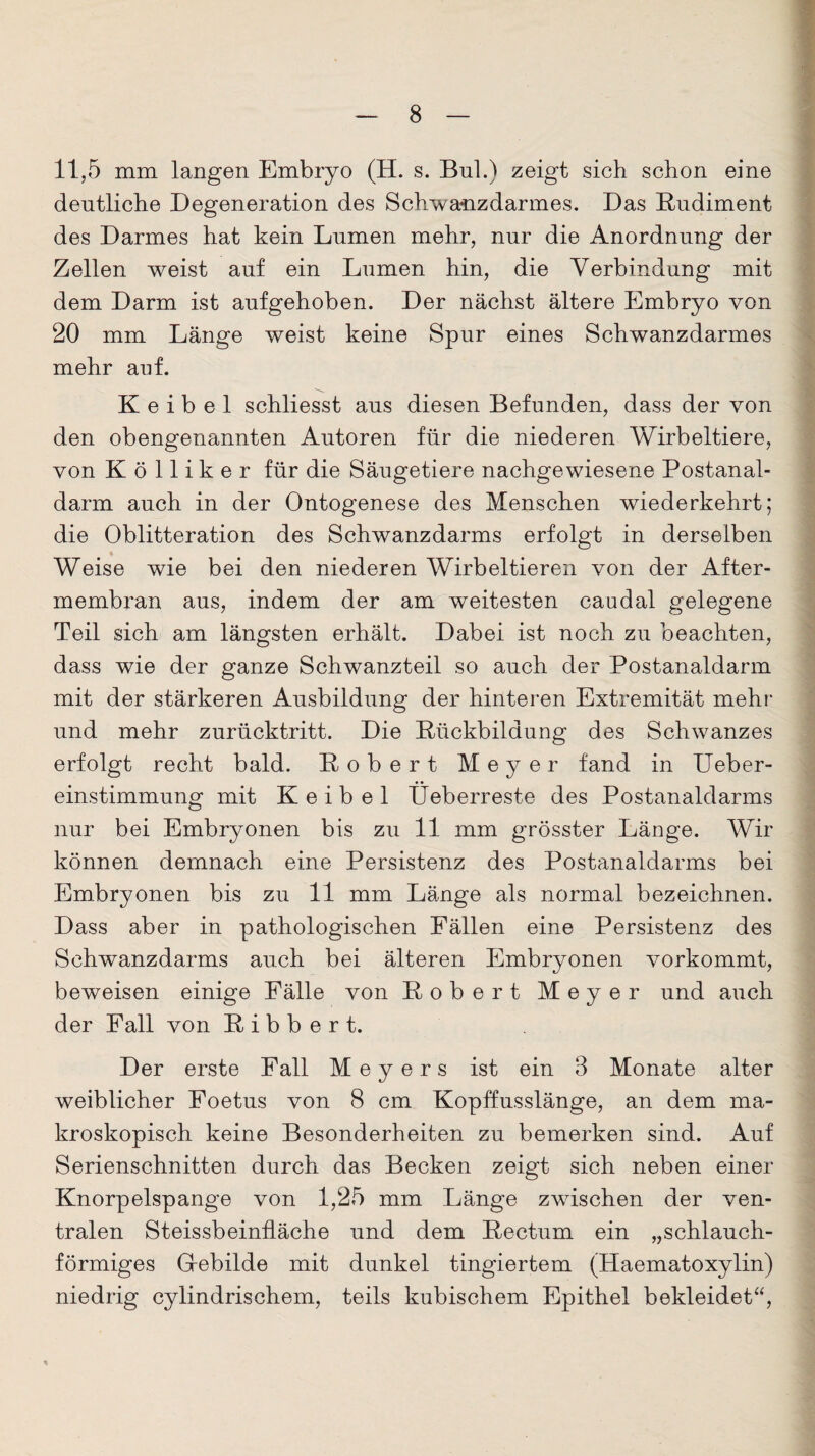 11,5 mm langen Embryo (H. s. Bnl.) zeigt sich schon eine dentliche Degeneration des Schwanz dar mes. Das Rudiment des Darmes hat kein Lumen mehr, nur die Anordnung der Zellen weist auf ein Lumen hin, die Verbindung mit dem Darm ist aufgehoben. Der nächst ältere Embryo von 20 mm Länge weist keine Spur eines Schwanzdarmes mehr auf. K e i b e 1 schliesst aus diesen Befunden, dass der von den obengenannten Autoren für die niederen Wirbeltiere, von Kölliker für die Säugetiere nachgewiesene Postanal¬ darm auch in der Ontogenese des Menschen wiederkehrt; die Oblitteration des Schwanzdarms erfolgt in derselben Weise wie bei den niederen Wirbeltieren von der After¬ membran aus, indem der am weitesten caudal gelegene Teil sich am längsten erhält. Dabei ist noch zu beachten, dass wie der ganze Schwanzteil so auch der Postanaldarm mit der stärkeren Ausbildung der hinteren Extremität mehr und mehr zurücktritt. Die Rückbildung des Schwanzes erfolgt recht bald. Robert Meyer fand in Ueber- einstimmung mit Keibel Üeberreste des Postanaldarms nur bei Embryonen bis zu 11 mm grösster Länge. Wir können demnach eine Persistenz des Postanaidarms bei Embryonen bis zu 11 mm Länge als normal bezeichnen. Dass aber in pathologischen Fällen eine Persistenz des Schwanzdarms auch bei älteren Embryonen vorkommt, beweisen einige Fälle von Robert Meyer und auch der Fall von R i b b e r t. Der erste Pall Meyers ist ein 3 Monate alter weiblicher Foetus von 8 cm Kopffusslänge, an dem ma¬ kroskopisch keine Besonderheiten zu bemerken sind. Auf Serienschnitten durch das Becken zeigt sich neben einer Knorpelspange von 1,25 mm Länge zwischen der ven¬ tralen Steissbeinfläche und dem Rectum ein „schlauch¬ förmiges Glebilde mit dunkel tingiertem (Haematoxylin) niedrig cylindrischem, teils kubischem Epithel bekleidet“,