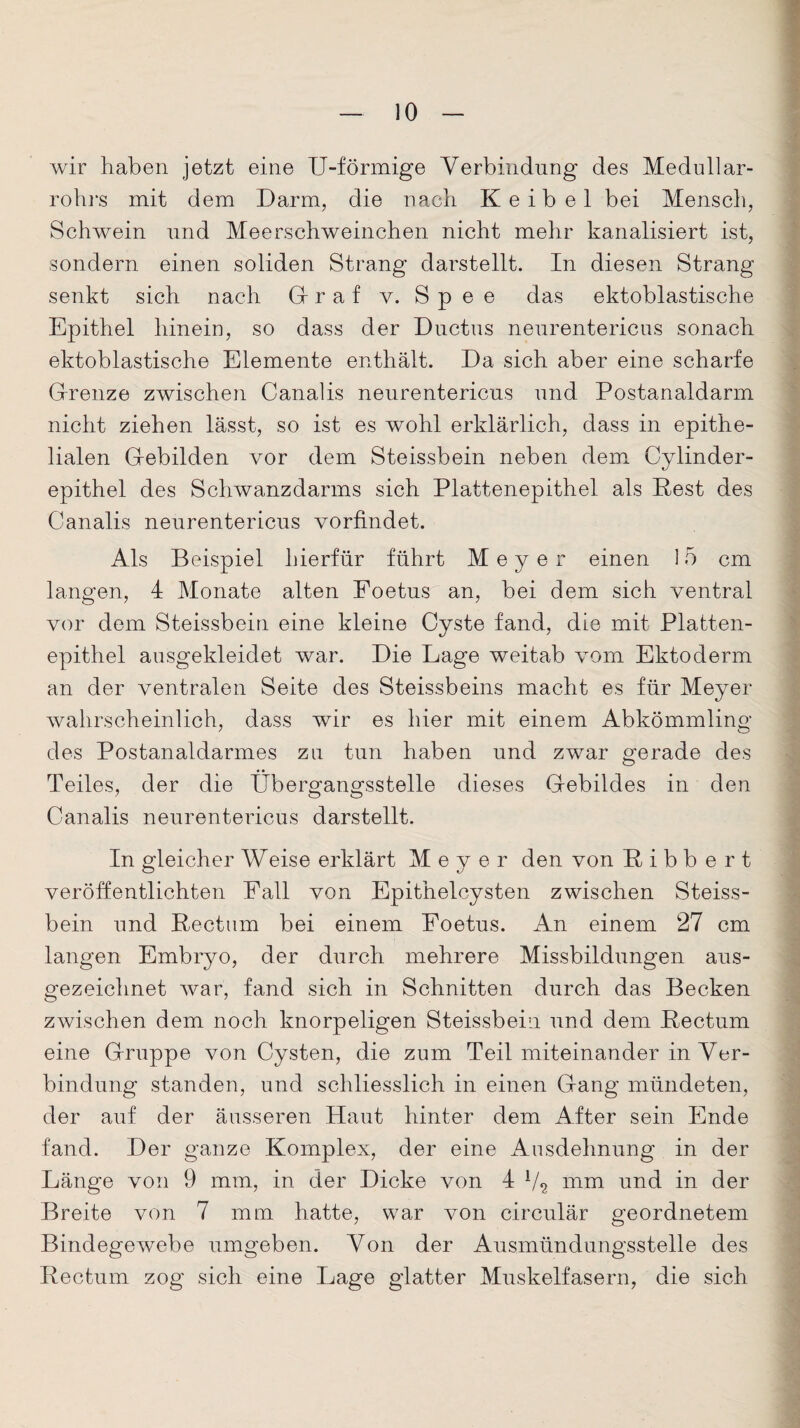 wir haben jetzt eine U-förmige Verbindung des Medullar- rohrs mit dem Darm, die nach Keibel bei Mensch, Schwein und Meerschweinchen nicht mehr kanalisiert ist, sondern einen soliden Strang darstellt. In diesen Strang senkt sich nach Gr r a f v. Spee das ektoblastische Epithel hinein, so dass der Ductus neurentericus sonach ektoblastische Elemente enthält. Da sich aber eine scharfe Grenze zwischen Canalis neurentericus und Postanaldarm nicht ziehen lässt, so ist es wohl erklärlich, dass in epithe¬ lialen Gebilden vor dem Steissbein neben dem Cylinder- epithel des Schwanzdarms sich Plattenepithel als Pest des Canalis neurentericus vorfindet. Als Beispiel hierfür führt Meyer einen 15 cm langen, 4 Monate alten Foetus an, bei dem sich ventral vor dem Steissbein eine kleine Cyste fand, die mit Platten¬ epithel ausgekleidet war. Die Lage weitab vom Ektoderm an der ventralen Seite des Steissbeins macht es für Meyer wahrscheinlich, dass wir es hier mit einem Abkömmling des Postanaldarmes zu tun haben und zwar gerade des Teiles, der die Übergangsstelle dieses Gebildes in den Canalis neurentericus darstellt. In gleicher Weise erklärt Meyer den von P i b b e r t veröffentlichten Fall von Epithelcysten zwischen Steiss¬ bein und Rectum bei einem Eoetus. An einem 27 cm langen Embryo, der durch mehrere Missbildungen aus¬ gezeichnet war, fand sich in Schnitten durch das Becken zwischen dem noch knorpeligen Steissbein und dem Pectum eine Gruppe von Cysten, die zum Teil miteinander in Ver¬ bindung standen, und schliesslich in einen Gang mündeten, der auf der äusseren Haut hinter dem After sein Ende fand. Der ganze Komplex, der eine Ausdehnung in der Länge von 9 mm, in der Dicke von 4 V? mm und in der Breite von 7 mm hatte, war von circulär geordnetem Bindegewebe umgeben. Von der Ausmündungsstelle des Rectum zog sich eine Lage glatter Muskelfasern, die sich