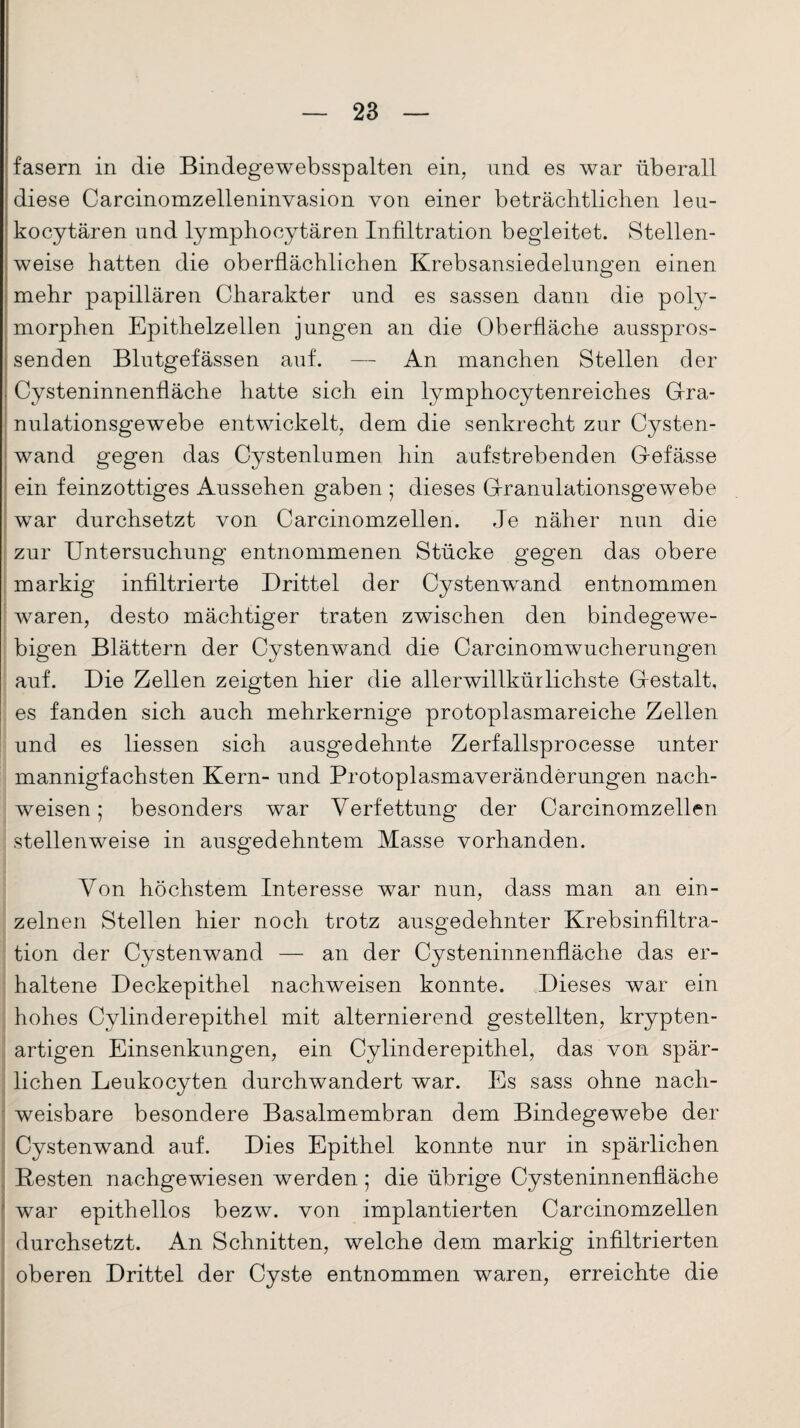 fasern in die Bindegewebsspalten ein, und es war überall diese Carcinomzelleninvasion von einer beträchtlichen leu- kocytären und lymphocytären Infiltration begleitet. Stellen¬ weise hatten die oberflächlichen Krebsansiedelungen einen mehr papillären Charakter und es sassen dann die poly¬ morphen Epithelzellen jungen an die Oberfläche ausspros¬ senden Blutgefässen auf. — An manchen Stellen der . Cysteninnenfläche hatte sich ein lymphocytenreiches Gfra- nulationsgewebe entwickelt, dem die senkrecht zur Cysten¬ wand gegen das Cystenlumen hin aufstrebenden G-efässe ein feinzottiges Aussehen gaben 5 dieses Gfranulationsgewebe war durchsetzt von Carcinomzellen. Je näher nun die zur Untersuchung entnommenen Stücke gegen das obere markig infiltrierte Drittel der Cystenwand entnommen waren, desto mächtiger traten zwischen den bindegewe¬ bigen Blättern der Cystenwand die Carcinomwucherungen auf. Die Zellen zeigten hier die allerwillkürlichste Gfestalt, es fanden sich auch mehrkernige protoplasmareiche Zellen und es Hessen sich ausgedehnte Zerfallsprocesse unter mannigfachsten Kern- und Protoplasmaveränderungen nach- weisen; besonders war Verfettung der Carcinomzellen stellenweise in ausgedehntem Masse vorhanden. Von höchstem Interesse war nun, dass man an ein¬ zelnen Stellen hier noch trotz ausgedehnter Krebsinfiltra¬ tion der Cystenwand — an der Cysteninnenfläche das er¬ haltene Deckepithel nachweisen konnte. Dieses war ein hohes Cylinderepithel mit alternierend gestellten, krypten¬ artigen Einsenkungen, ein Cylinderepithel, das von spär¬ lichen Leukocyten durchwandert war. Es sass ohne nach¬ weisbare besondere Basalmembran dem Bindegewebe der Cystenwand auf. Dies Epithel konnte nur in spärlichen Kesten nachgewiesen werden ; die übrige Cysteninnenfläche war epithellos bezw. von implantierten Carcinomzellen durchsetzt. An Schnitten, welche dem markig infiltrierten oberen Drittel der Cyste entnommen waren, erreichte die