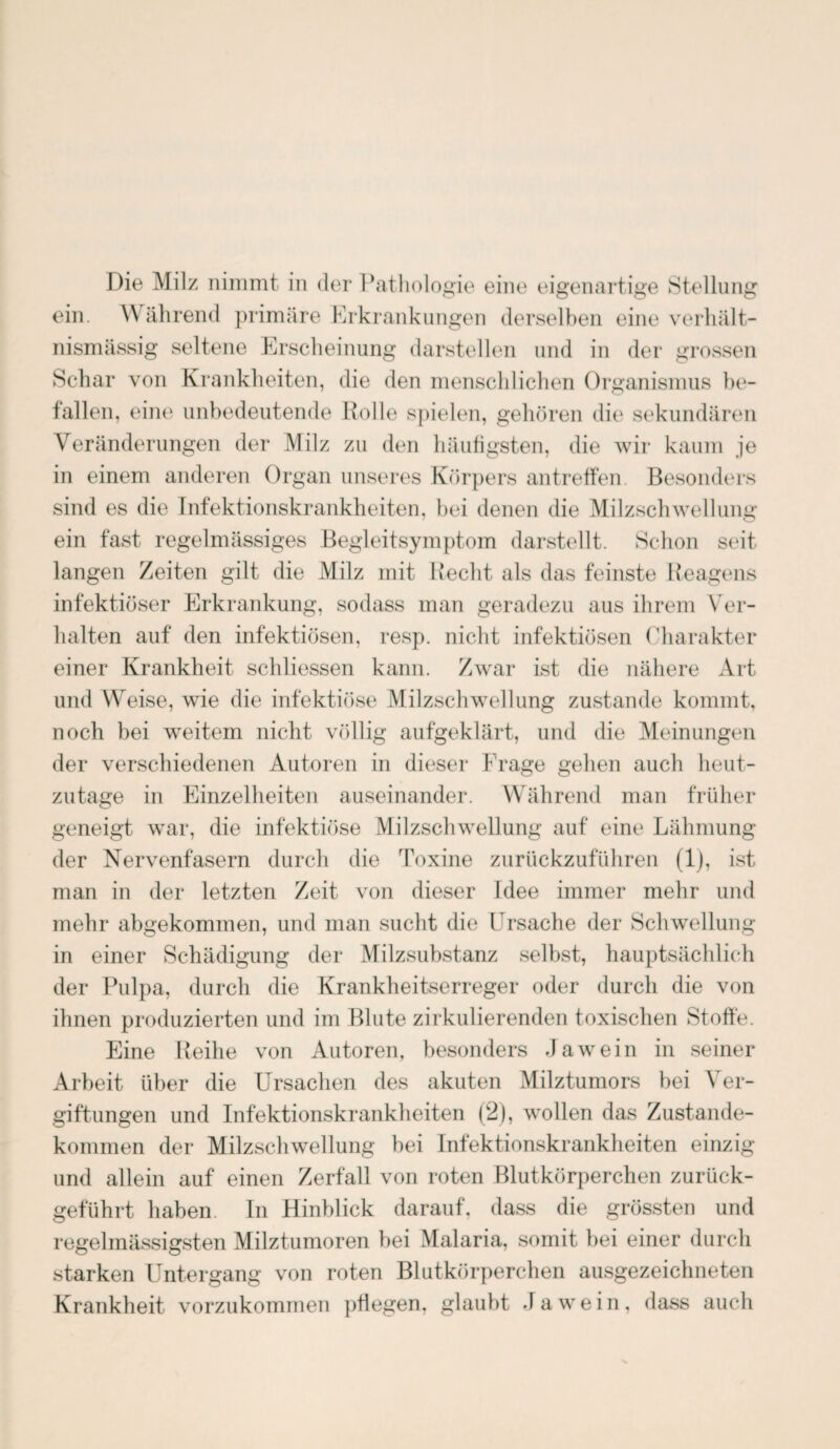 Die Milz nimmt in der Pathologie eine eigenartige Stellung ein. Während primäre Erkrankungen derselben eine verhält¬ nismässig seltene Erscheinung darstellen und in der grossen Schar von Krankheiten, die den menschlichen Organismus be¬ fallen, eine unbedeutende Rolle spielen, gehören die sekundären Veränderungen der Milz zu den häufigsten, die wir kaum je in einem anderen Organ unseres Körpers antreffen. Besonders sind es die Infektionskrankheiten, bei denen die Milzschwellung ein fast regelmässiges Begleitsymptom darstellt. Schon seit langen Zeiten gilt die Milz mit liecht als das feinste Reagens infektiöser Erkrankung, sodass man geradezu aus ihrem Ver¬ halten auf den infektiösen, resp. nicht infektiösen Charakter einer Krankheit schliessen kann. Zwar ist die nähere Art und Weise, wie die infektiöse Milzschwellung zustande kommt, noch bei weitem nicht völlig aufgeklärt, und die Meinungen der verschiedenen Autoren in dieser Frage gehen auch heut¬ zutage in Einzelheiten auseinander. Während man früher geneigt war, die infektiöse Milzschwellung auf eint1 Lähmung der Nervenfasern durch die Toxine zurückzuführen (1), ist man in der letzten Zeit von dieser Idee immer mehr und mehr abgekommen, und man sucht die Ursache der Schwellung in einer Schädigung der Milzsubstanz selbst, hauptsächlich der Pulpa, durch die Krankheitserreger oder durch die von ihnen produzierten und im Blute zirkulierenden toxischen Stoffe. Eine Reihe von Autoren, besonders Ja wein in seiner Arbeit über die Ursachen des akuten Milztumors bei Ver¬ giftungen und Infektionskrankheiten (2), wollen das Zustande¬ kommen der Milzschwellung hei Infektionskrankheiten einzig und allein auf einen Zerfall von roten Blutkörperchen zurück¬ geführt haben In Hinblick darauf, dass die grössten und regelmässigsten Milztumoren bei Malaria, somit bei einer durch starken Untergang von roten Blutkörperchen ausgezeichneten Krankheit vorzukommen pflegen, glaubt Ja wein, dass auch