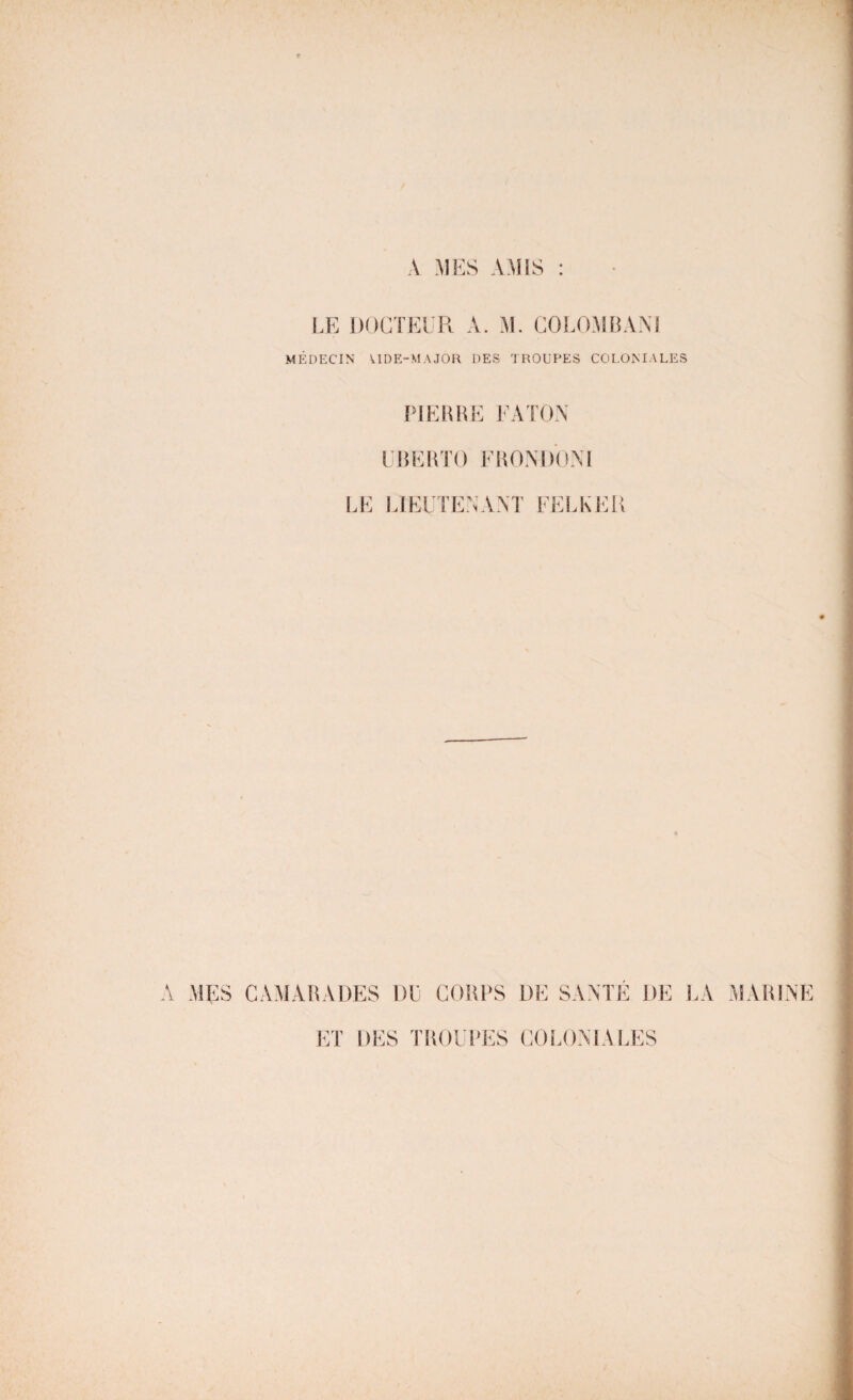 A MES AMIS : LE DOCTEUR A. M. COLOMBANI MÉDECIN UDE-MAJOR DES TROUPES COLONIALES PI EUH E EATON UBERTO FBONDONI LE LIEUTENANT FELKER A MES CAMARADES DU COUPS DE SANTÉ DE LA MARINE ET DES TROUPES COLONIALES