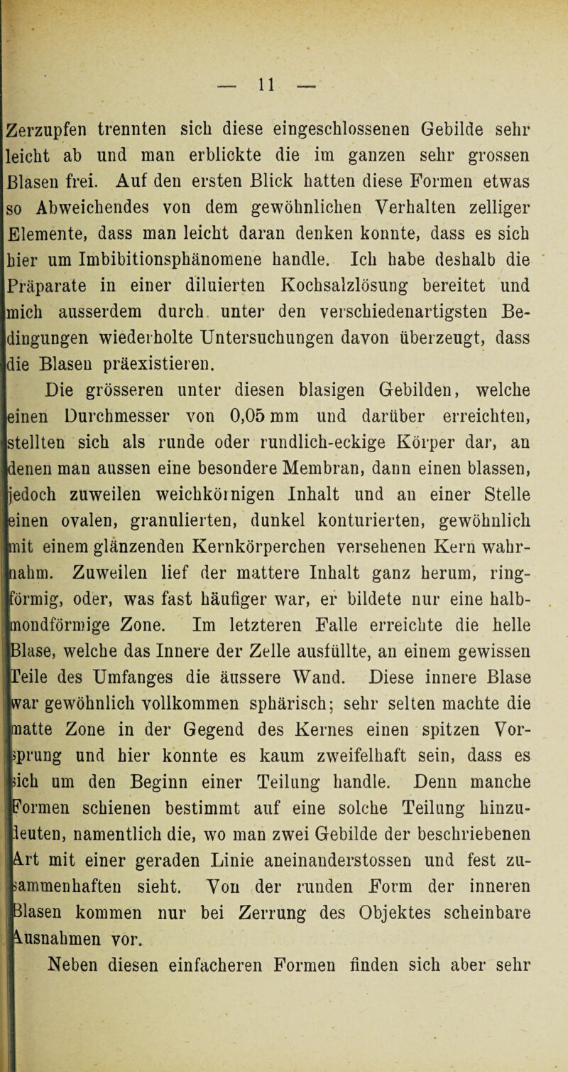 Zerzupfen trennten sich diese eingeschlossenen Gebilde sehr leicht ab und man erblickte die im ganzen sehr grossen Blasen frei. Auf den ersten Blick hatten diese Formen etwas so Abweichendes von dem gewöhnlichen Verhalten zelliger Elemente, dass man leicht daran denken konnte, dass es sich hier um Imbibitionsphänomene handle. Ich habe deshalb die Präparate in einer diluierten Kochsalzlösung bereitet und mich ausserdem durch unter den verschiedenartigsten Be¬ dingungen wiederholte Untersuchungen davon überzeugt, dass die Blasen präexistieren. Die grösseren unter diesen blasigen Gebilden, welche einen Durchmesser von 0,05 mm und darüber erreichten, stellten sich als runde oder rundlich-eckige Körper dar, an denen man aussen eine besondere Membran, dann einen blassen, jedoch zuweilen weichkömigen Inhalt und au einer Stelle einen ovalen, granulierten, dunkel konturierten, gewöhnlich mit einem glänzenden Kernkörperchen versehenen Kern wahr- jnahm. Zuweilen lief der mattere Inhalt ganz herum, ring- Iförmig, oder, was fast häufiger war, er bildete nur eine halb- imondförmige Zone. Im letzteren Falle erreichte die helle Blase, welche das Innere der Zelle ausfüllte, an einem gewissen lleile des Umfanges die äussere Wand. Diese innere Blase war gewöhnlich vollkommen sphärisch; sehr selten machte die matte Zone in der Gegend des Kernes einen spitzen Vor¬ sprung und hier konnte es kaum zweifelhaft sein, dass es sich um den Beginn einer Teilung handle. Denn manche Formen schienen bestimmt auf eine solche Teilung hinzu- ieuten, namentlich die, wo man zwei Gebilde der beschriebenen Art mit einer geraden Linie aneinanderstossen und fest zu- , sammenhaften sieht. Von der runden Form der inneren Blasen kommen nur bei Zerrung des Objektes scheinbare Ausnahmen vor. Neben diesen einfacheren Formen finden sich aber sehr