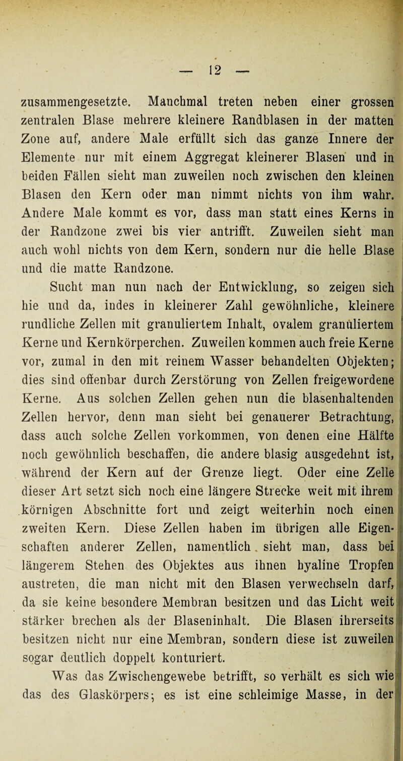 zusammengesetzte. Manchmal treten neben einer grossen zentralen Blase mehrere kleinere Randblasen in der matten Zone auf, andere Male erfüllt sich das ganze Innere der Elemente nur mit einem Aggregat kleinerer Blasen und in beiden Fällen sieht man zuweilen noch zwischen den kleinen Blasen den Kern oder man nimmt nichts von ihm wahr. Andere Male kommt es vor, dass man statt eines Kerns in der Randzone zwei bis vier antrifft. Zuweilen sieht man auch wohl nichts von dem Kern, sondern nur die helle Blase und die matte Randzone. Sucht man nun nach der Entwicklung, so zeigen sich hie und da, indes in kleinerer Zahl gewöhnliche, kleinere rundliche Zellen mit granuliertem Inhalt, ovalem granuliertem Kerne und Kernkörperchen. Zuweilen kommen auch freie Kerne vor, zumal in den mit reinem Wasser behandelten Objekten; dies sind offenbar durch Zerstörung von Zellen freigewordene Kerne. Aus solchen Zellen gehen nun die blasenhaltenden Zellen hervor, denn man sieht bei genauerer Betrachtung, dass auch solche Zellen Vorkommen, von denen eine Hälfte noch gewöhnlich beschaffen, die andere blasig ausgedehnt ist, während der Kern aut der Grenze liegt. Oder eine Zelle dieser Art setzt sich noch eine längere Strecke weit mit ihrem körnigen Abschnitte fort und zeigt weiterhin noch einen zweiten Kern. Diese Zellen haben im übrigen alle Eigen* j schäften anderer Zellen, namentlich. sieht man, dass bei längerem Stehen des Objektes aus ihnen hyaline Tropfen austreten, die man nicht mit den Blasen verwechseln darf, < da sie keine besondere Membran besitzen und das Licht weit stärker brechen als der Blaseninhalt. Die Blasen ihrerseits besitzen nicht nur eine Membran, sondern diese ist zuweilen sogar deutlich doppelt konturiert. Was das Zwischengewebe betrifft, so verhält es sich wie das des Glaskörpers; es ist eine schleimige Masse, in der